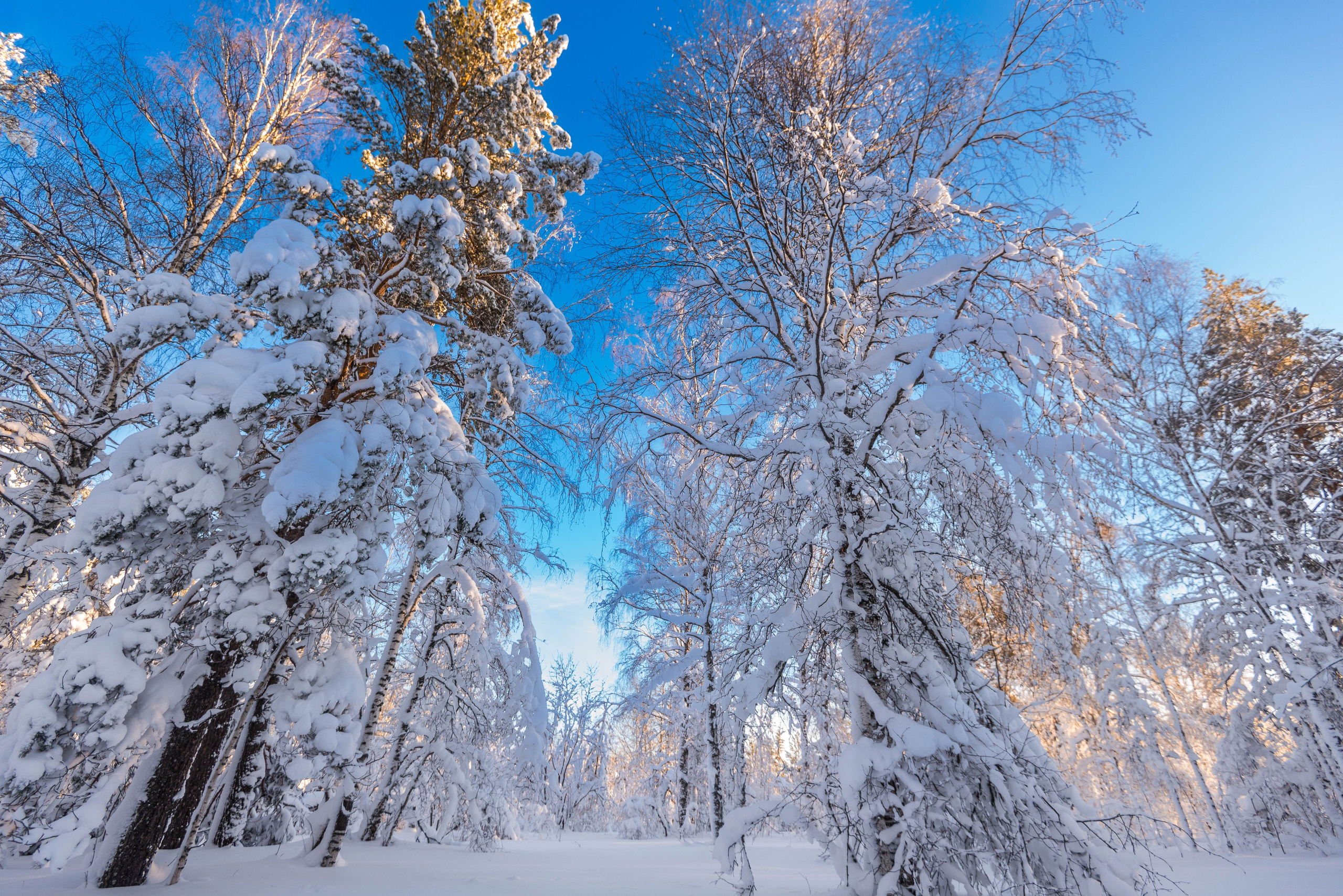 Таганай Семибратка, Парк Бажова, ледяной фонтан 06.01.2024. Свадебный фотограф на Урале Виктор Соколов