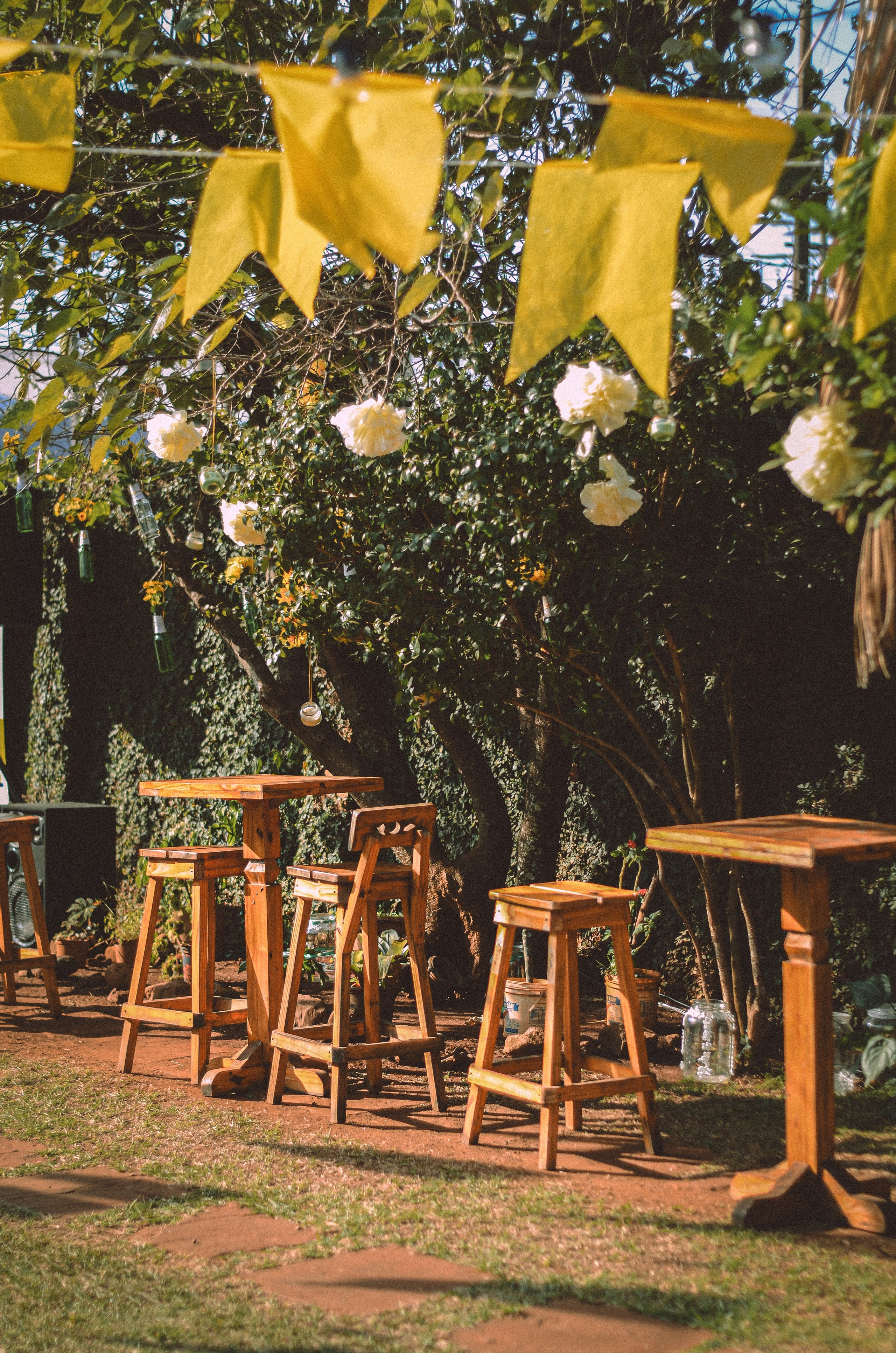 FEST.ART. Fotógrafo | Sessão de fotos