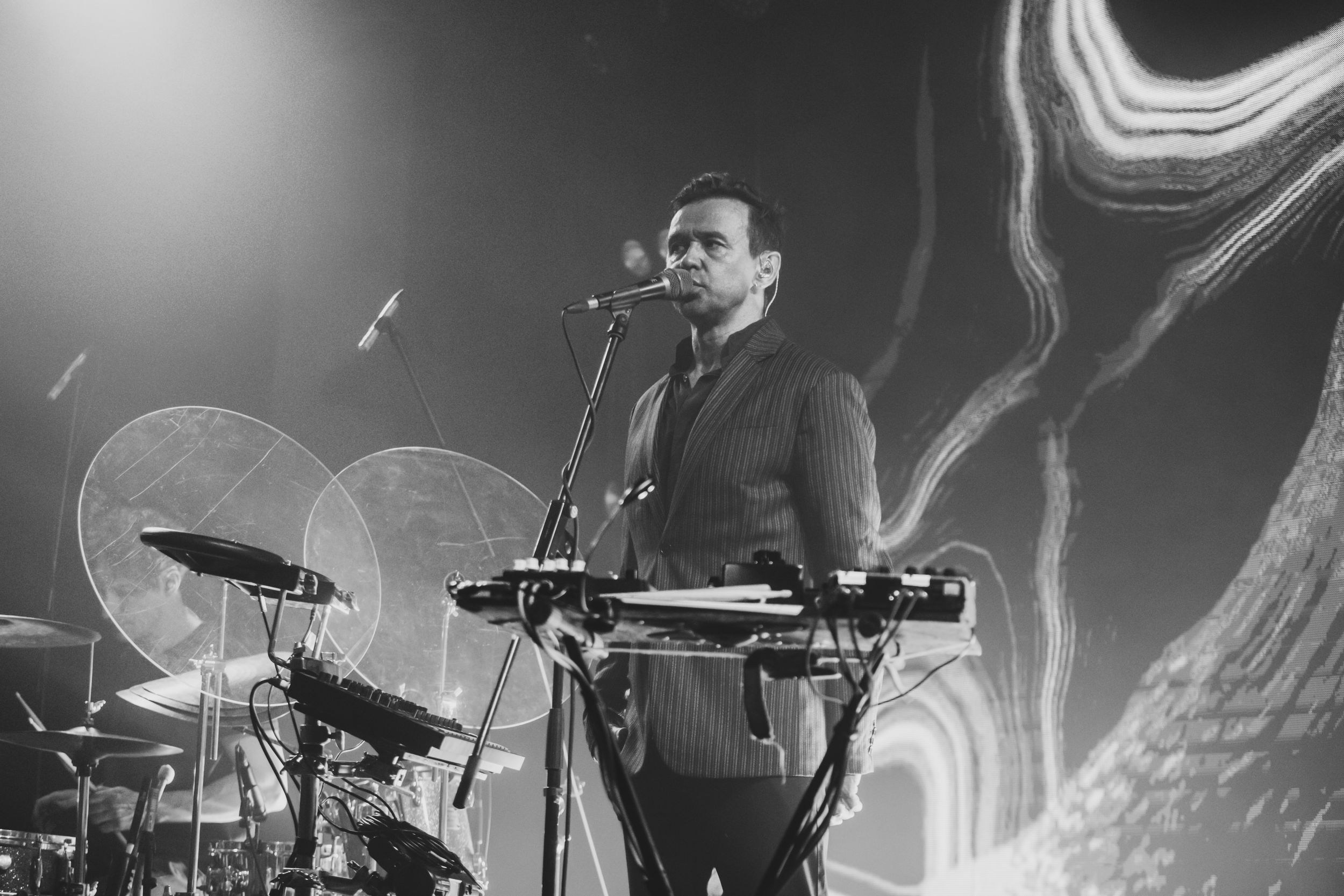 Дельфин. Репортажный фотограф Алексей Пирязев