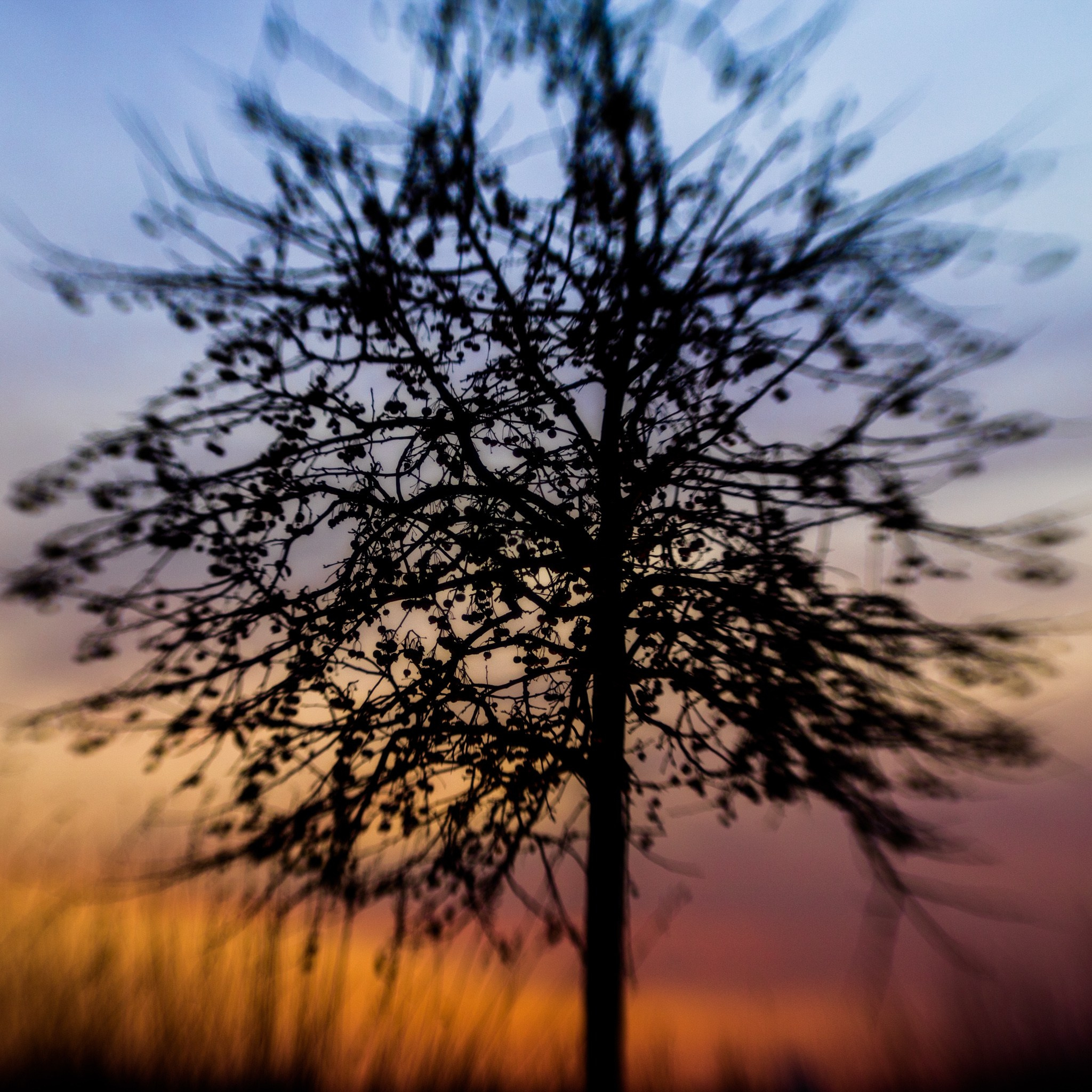 Москва 2017. Фотограф Василий Буланов