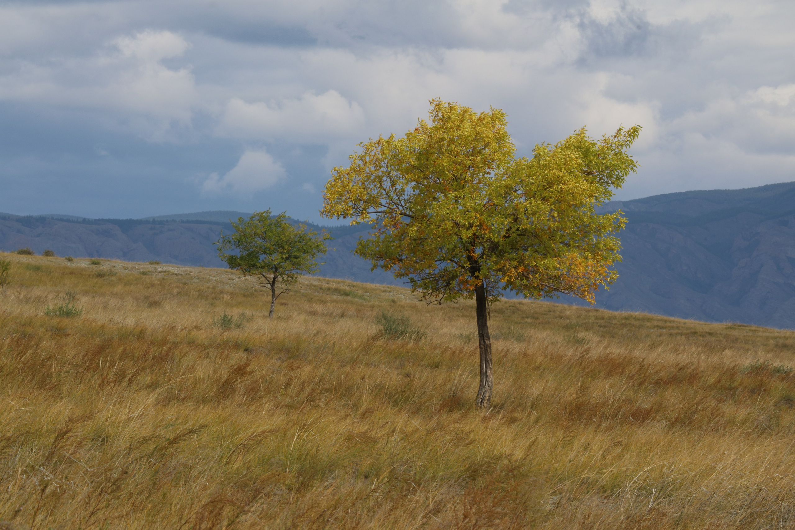 Travels. Репортажный и тревел фотограф Мокеров А.С