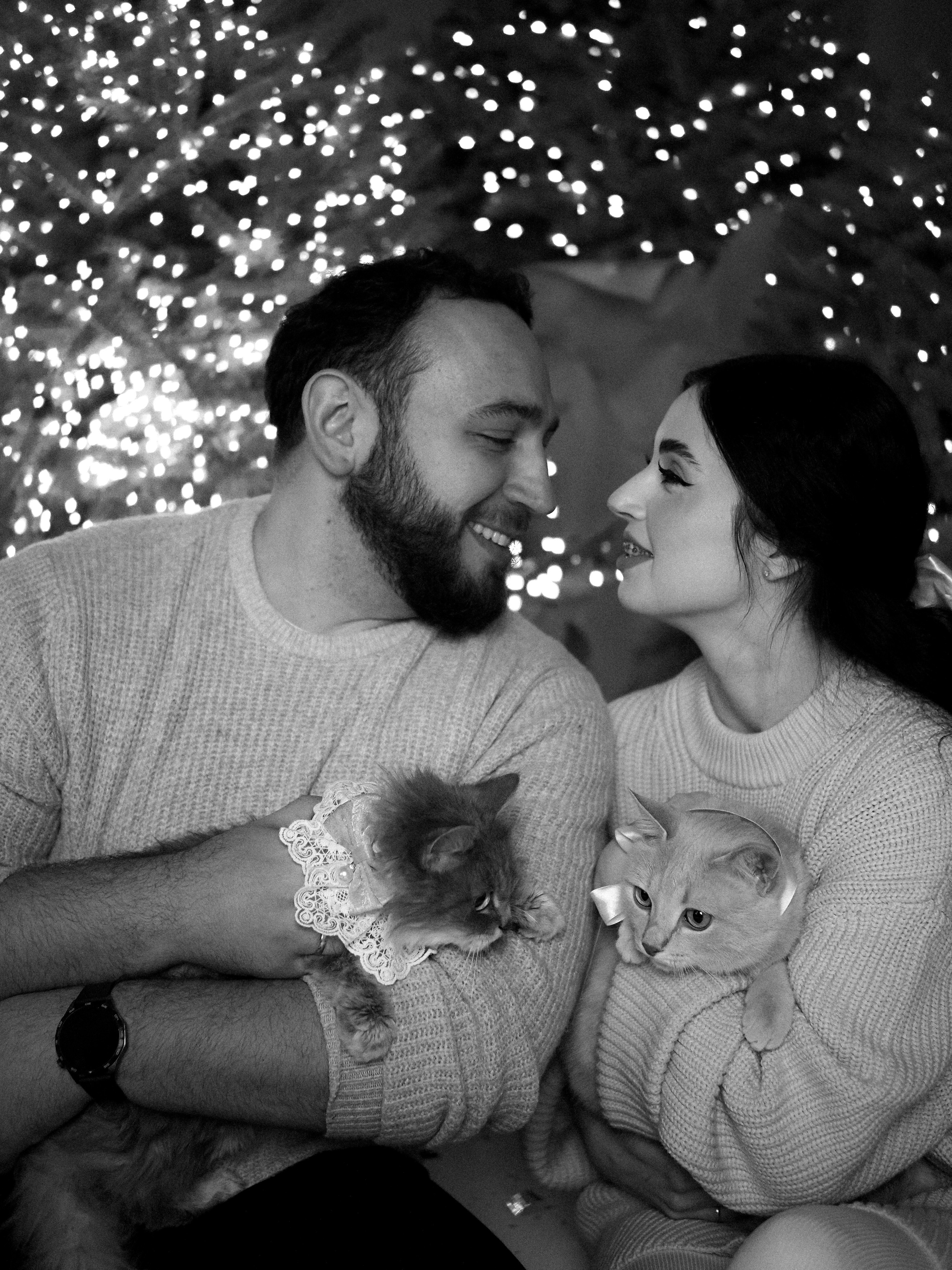 Mrrrr christmas. Фотограф Рязань. Семейный Свадебный фотограф