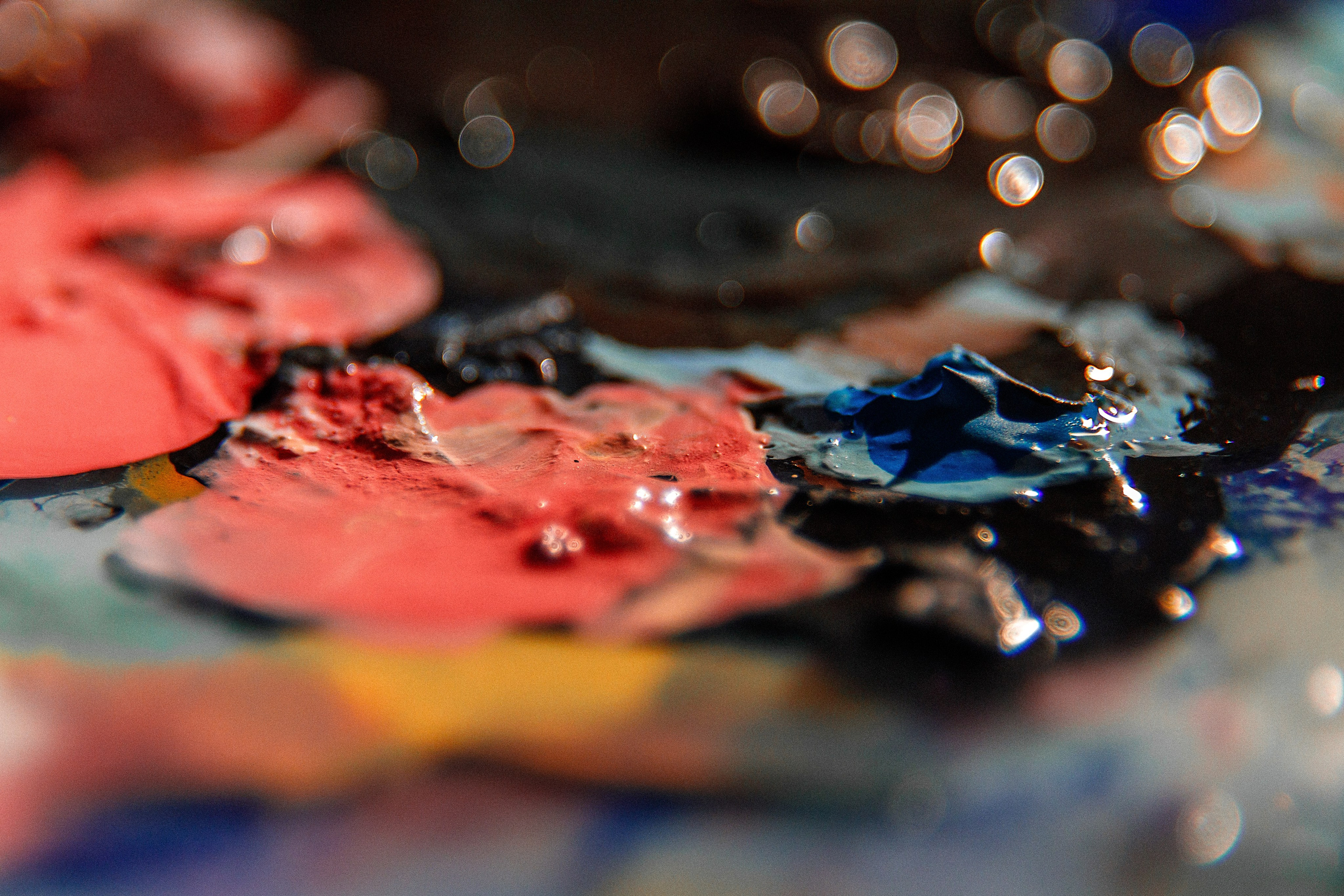 Проект «366»|2024|Фото каждый день. LENA GRACE photographer ||ЛЕНА ГРЭЙС фотограф