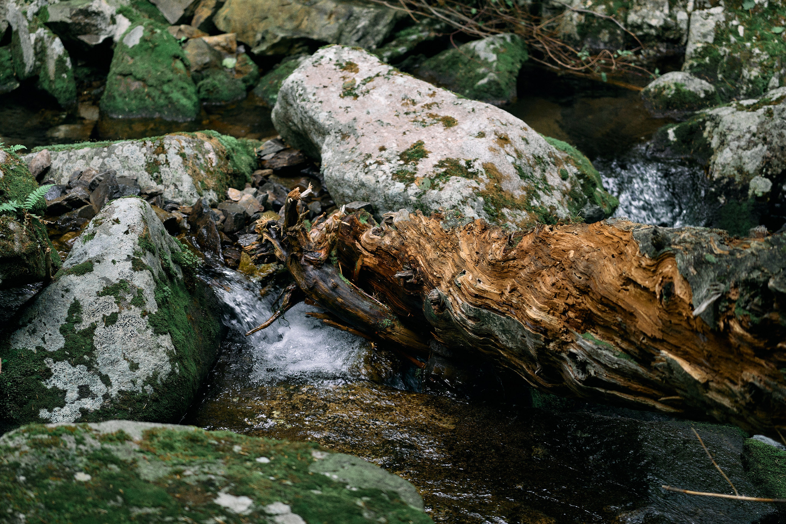 Фото поход на гору Пидан. Фэшн-фотография и портреты в Владивостоке. Превращаю съёмку в повествование — создаю образы с сюжетом, которые остаются в памяти