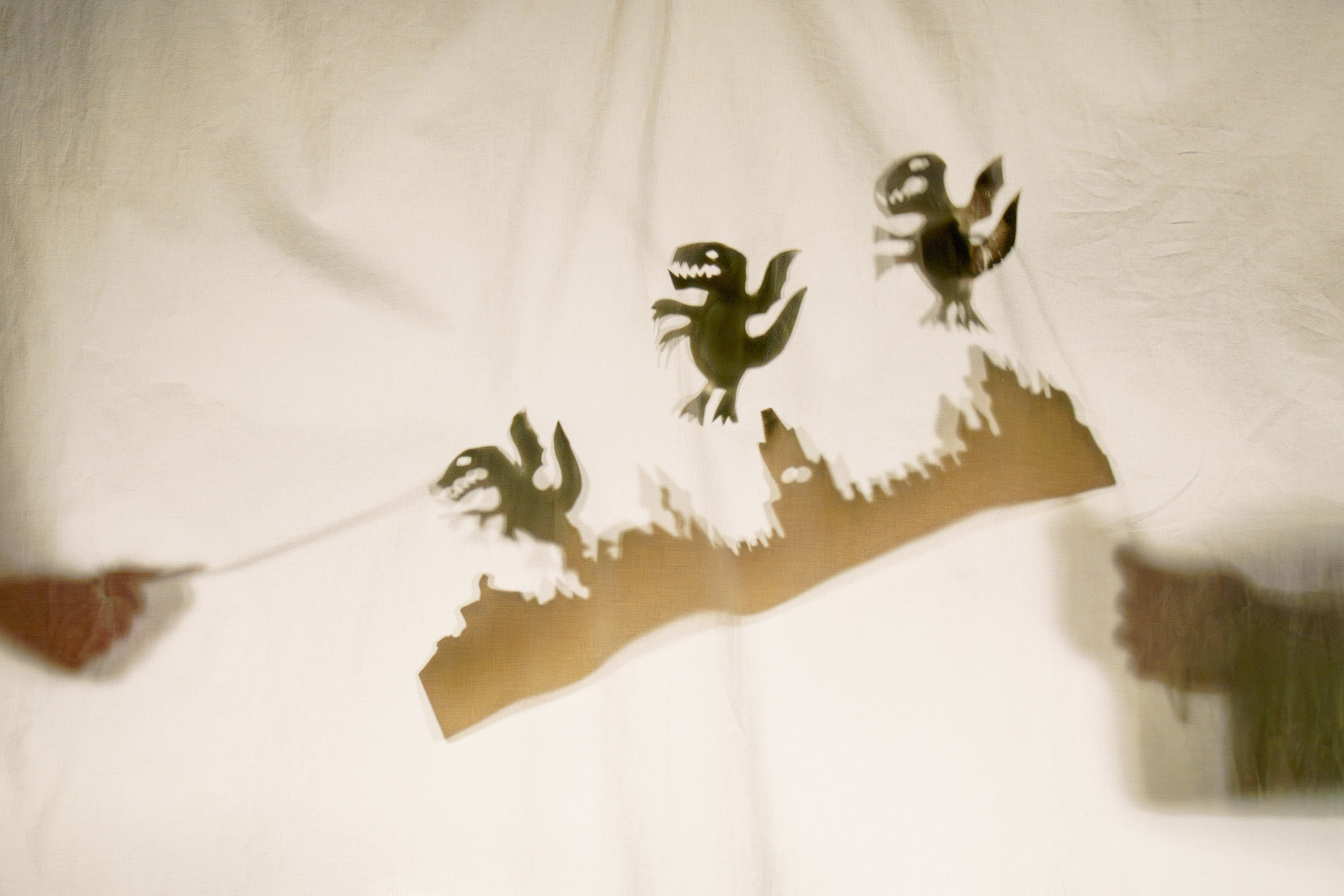 Собачье сердце. Антон Катушенок — фотокорреспондент города Набережные Челны