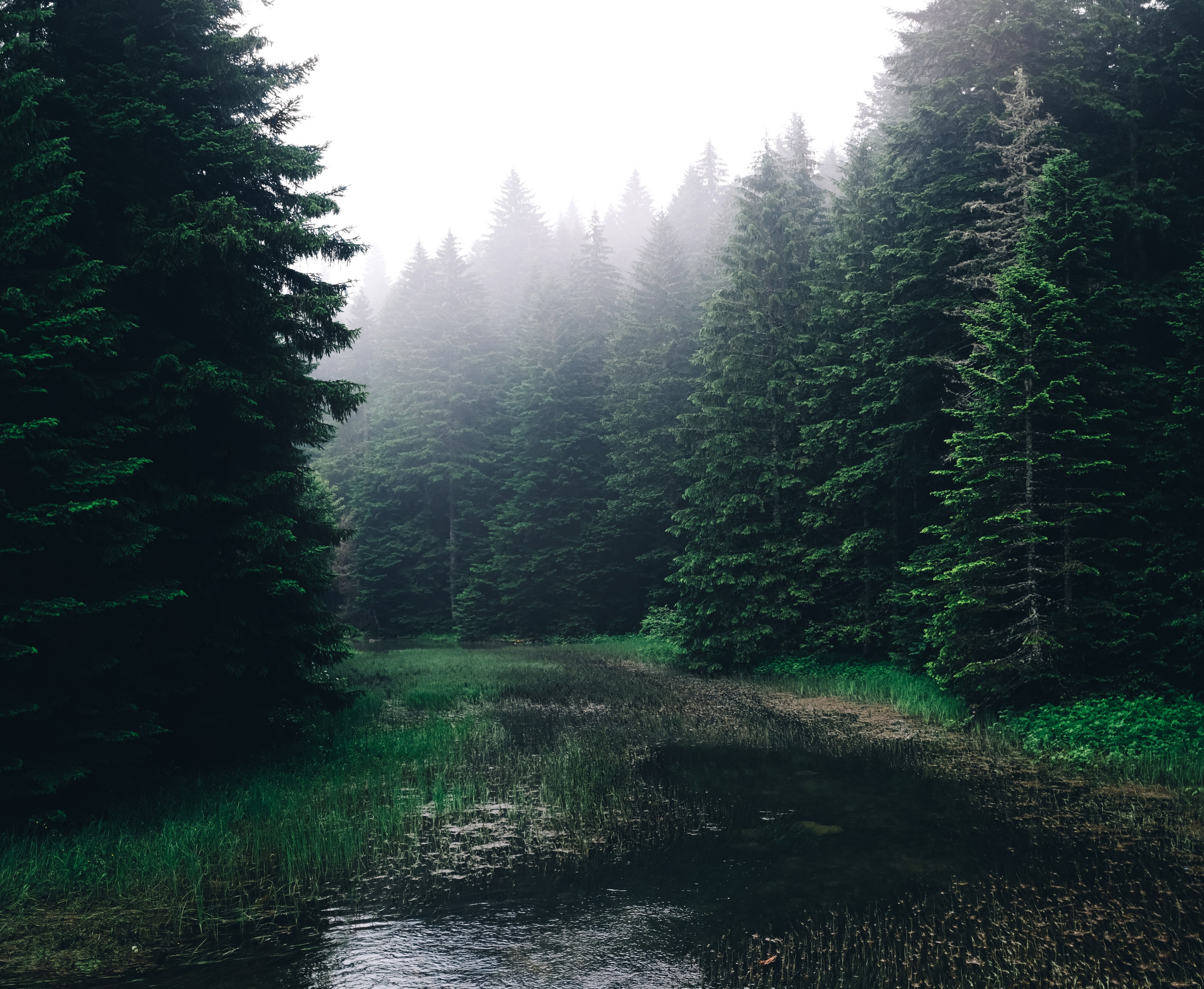 Черногория. Фотограф Екатерина Катунова | Москва