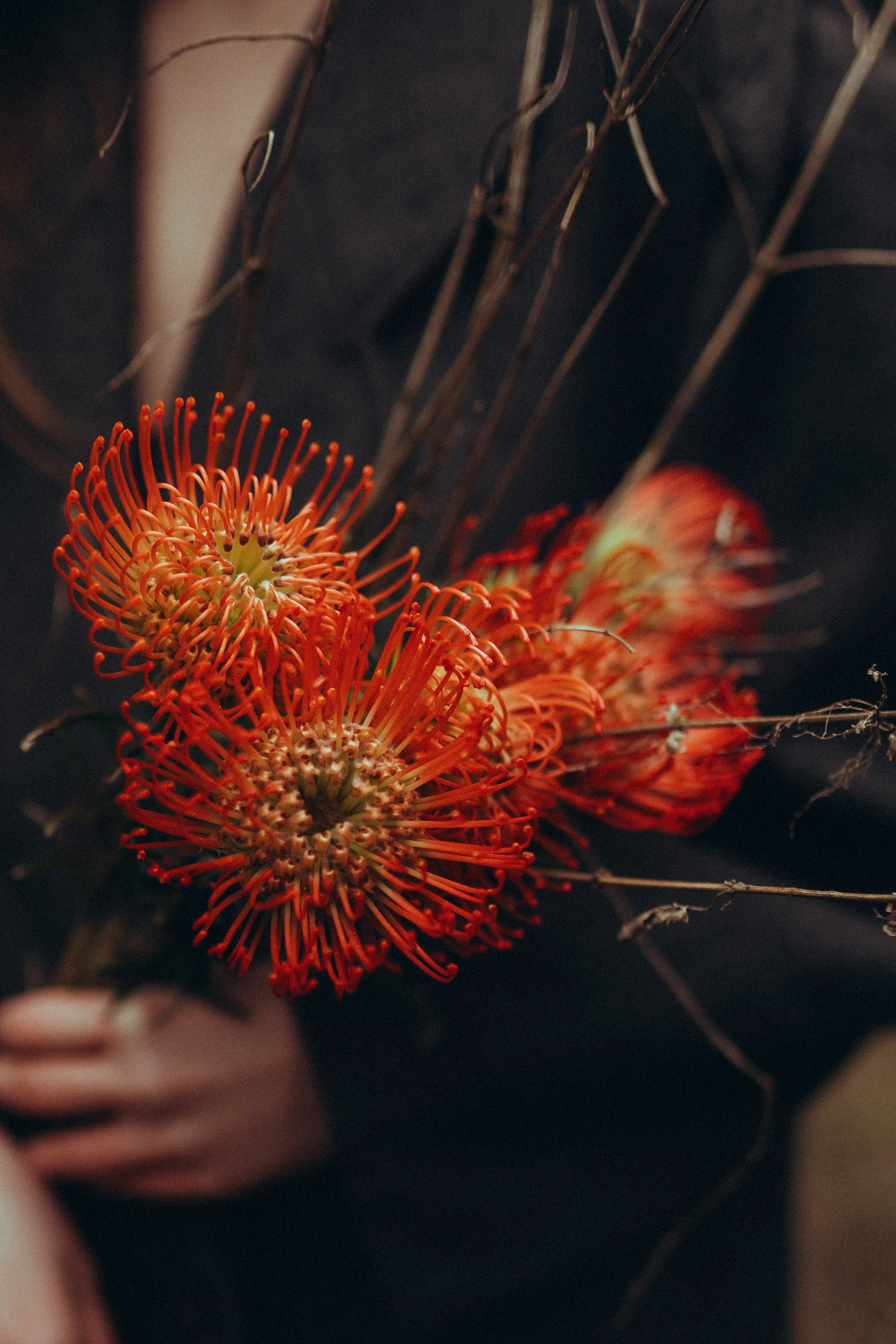 Настя. Фотограф Екатерина Катунова | Москва