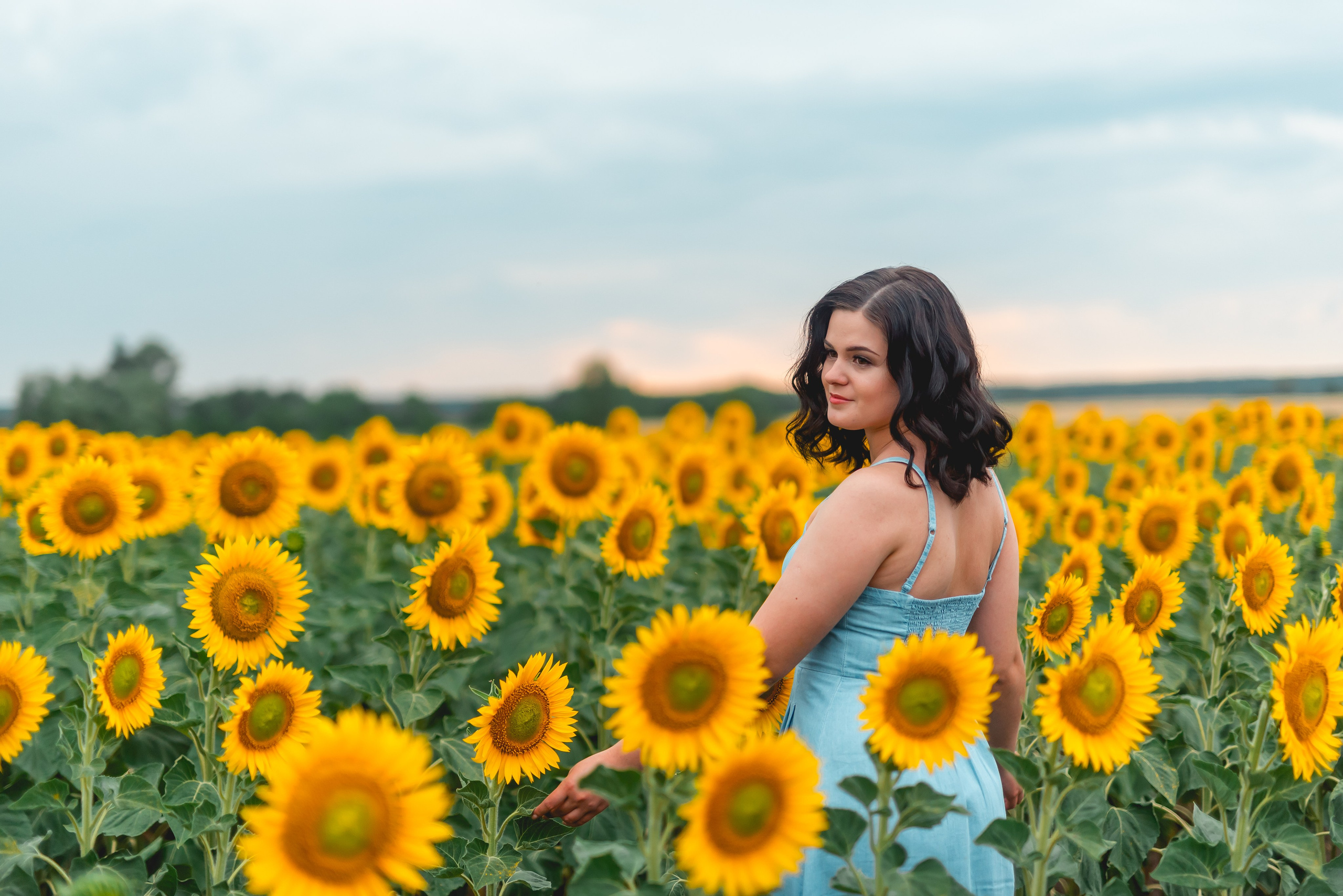 В ПОДСОЛНУХАХ. Семейный фотограф в Барнауле