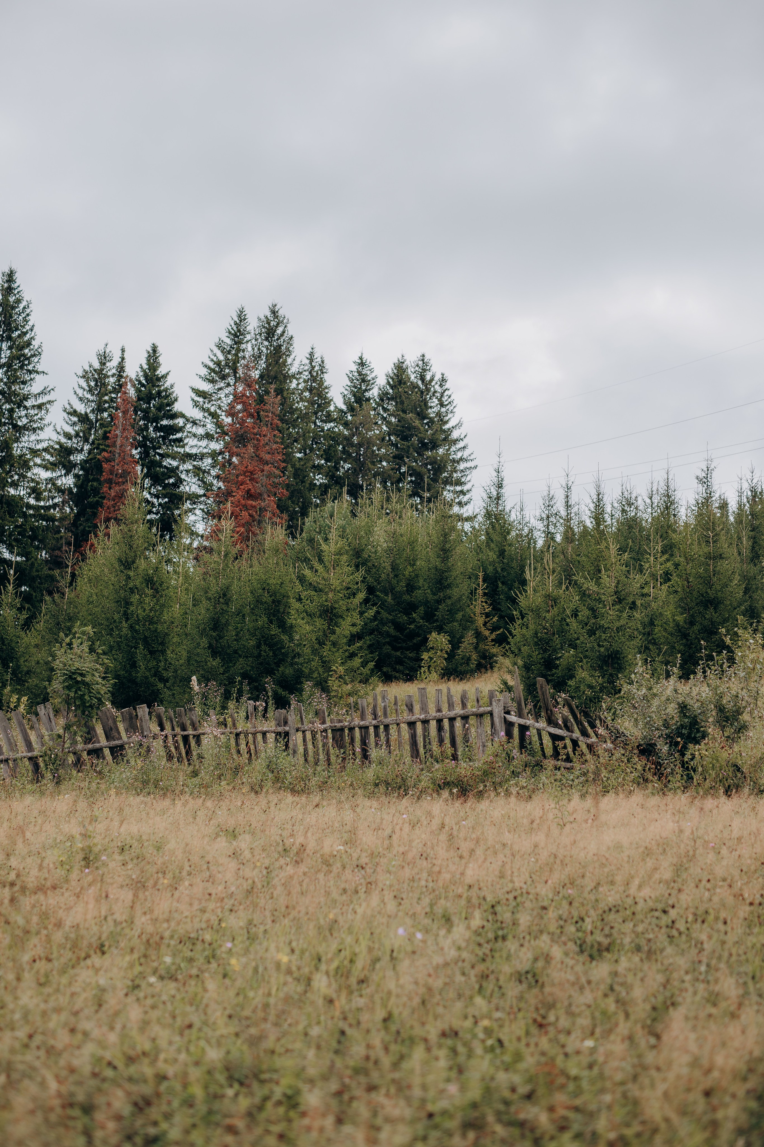 Екатерина. Фотограф Анастасия Петрова