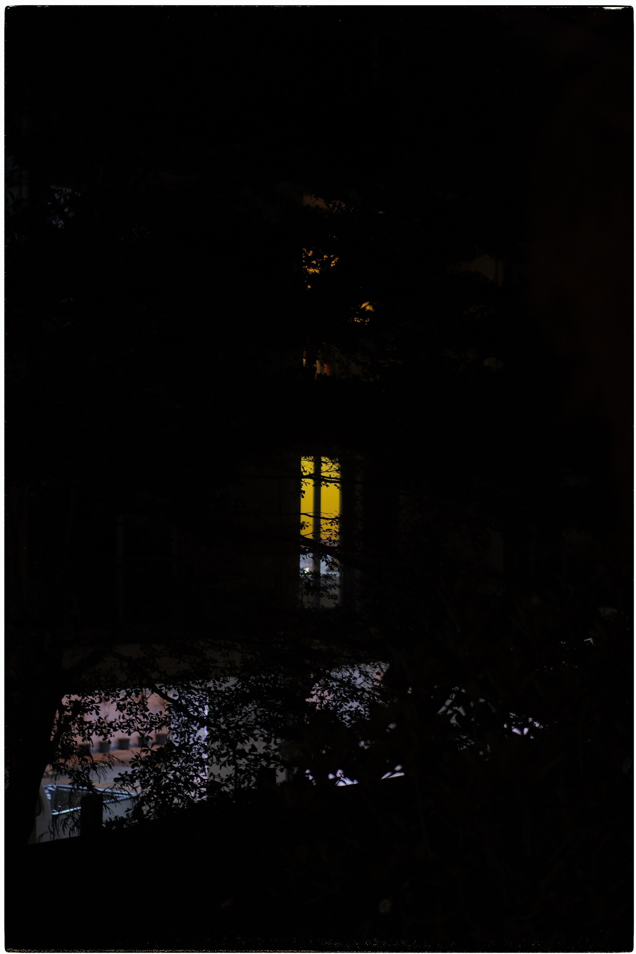 Таиланд. Портретный и репортажный фотограф в Санкт-Петербурге Дарья Сибирякова