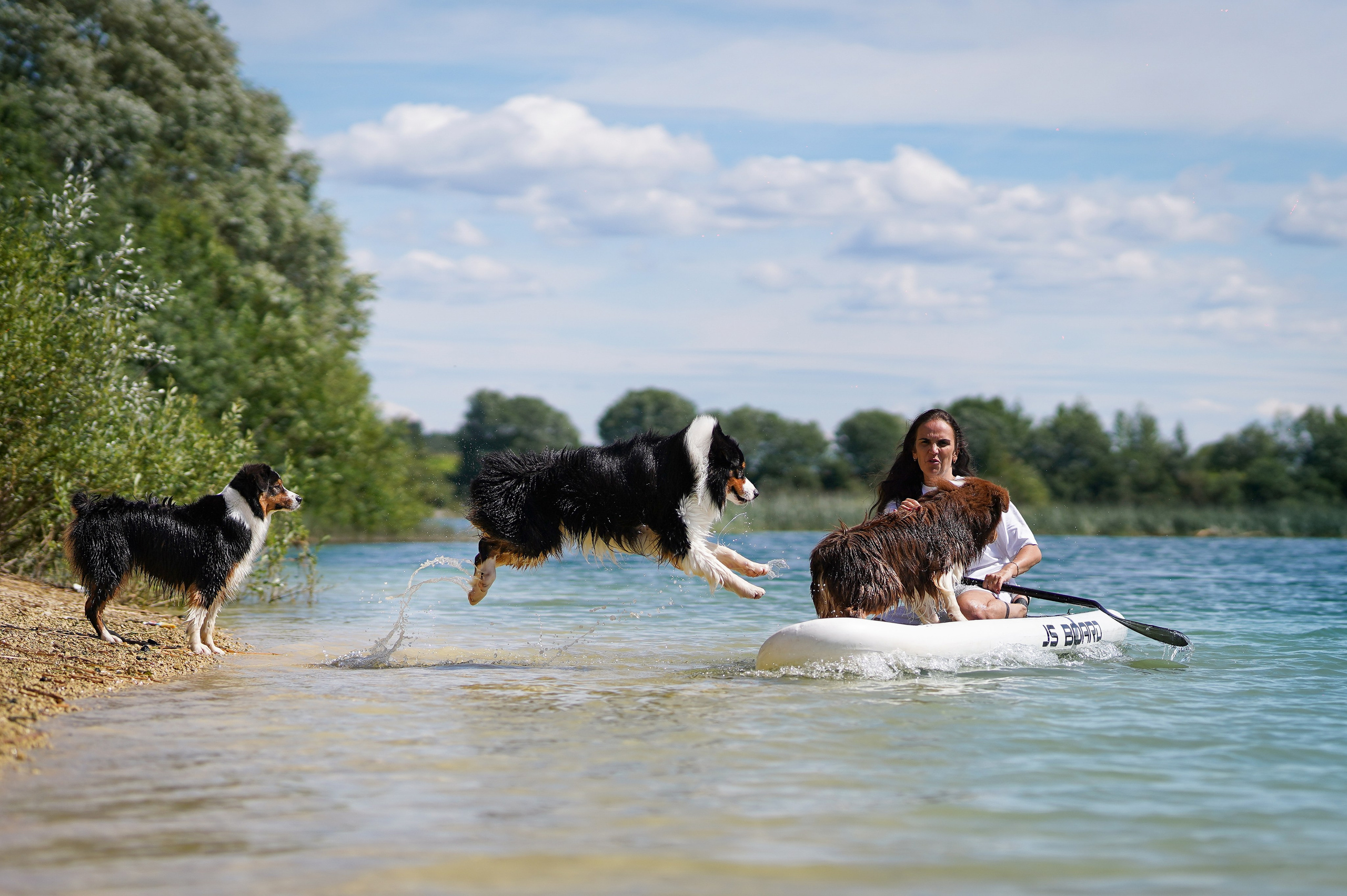 Аусси на карьерах. Фотограф-анималист в Санкт-Петербурге Яна Мартынова