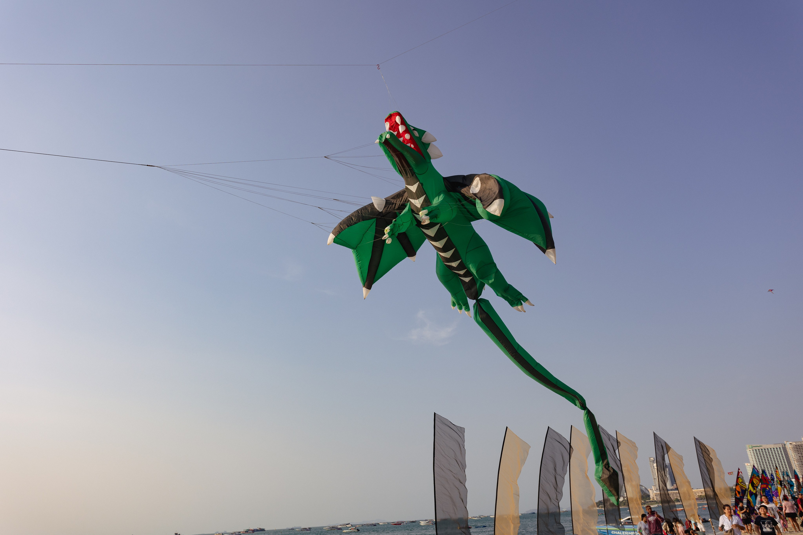 PATTAYA INTERNATIONAL KITE ON THE BEACH 2024. Photographer Sonkina Tatiana (Tanya Ash)