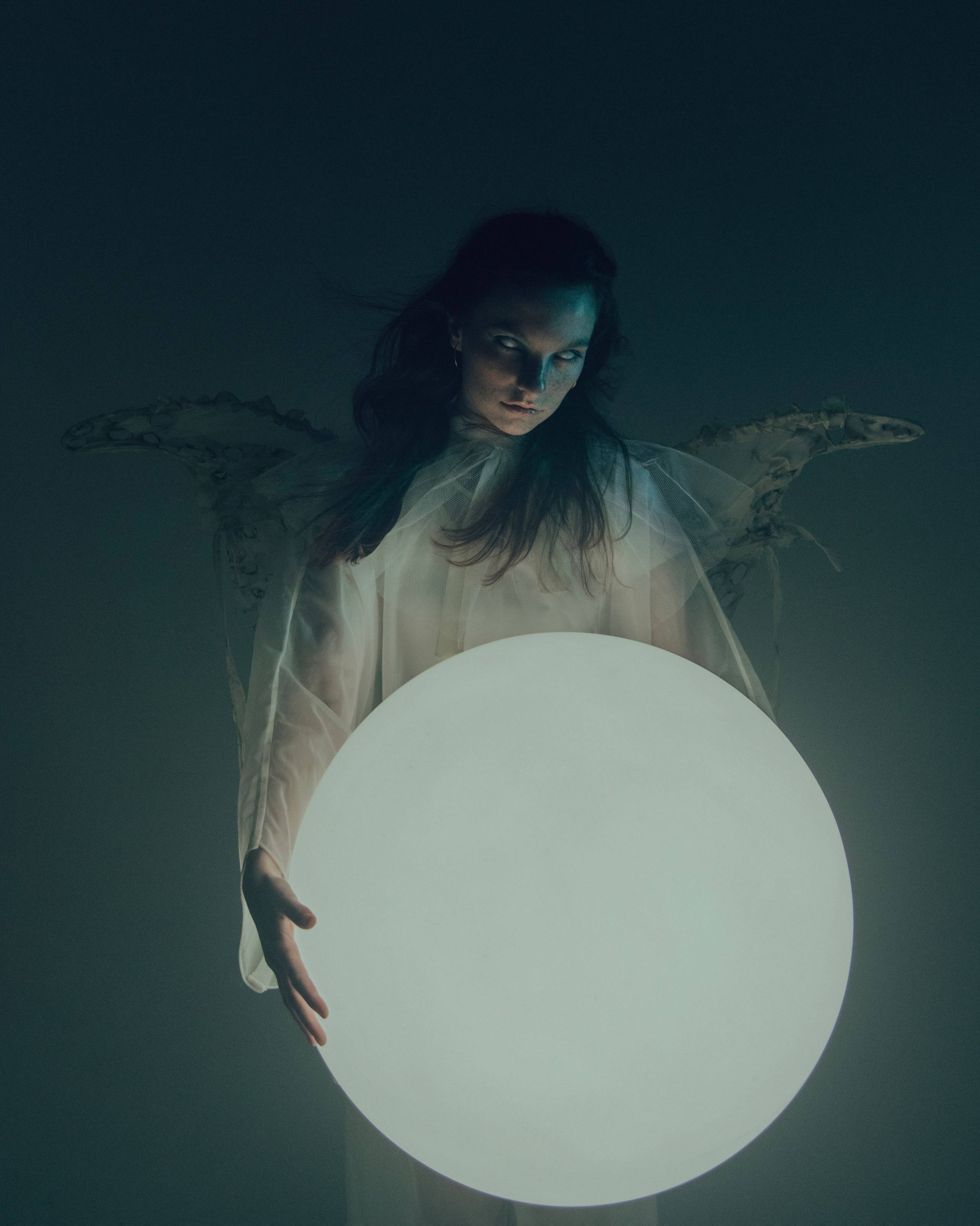 Мотылек. Фотограф Anita Mivchas