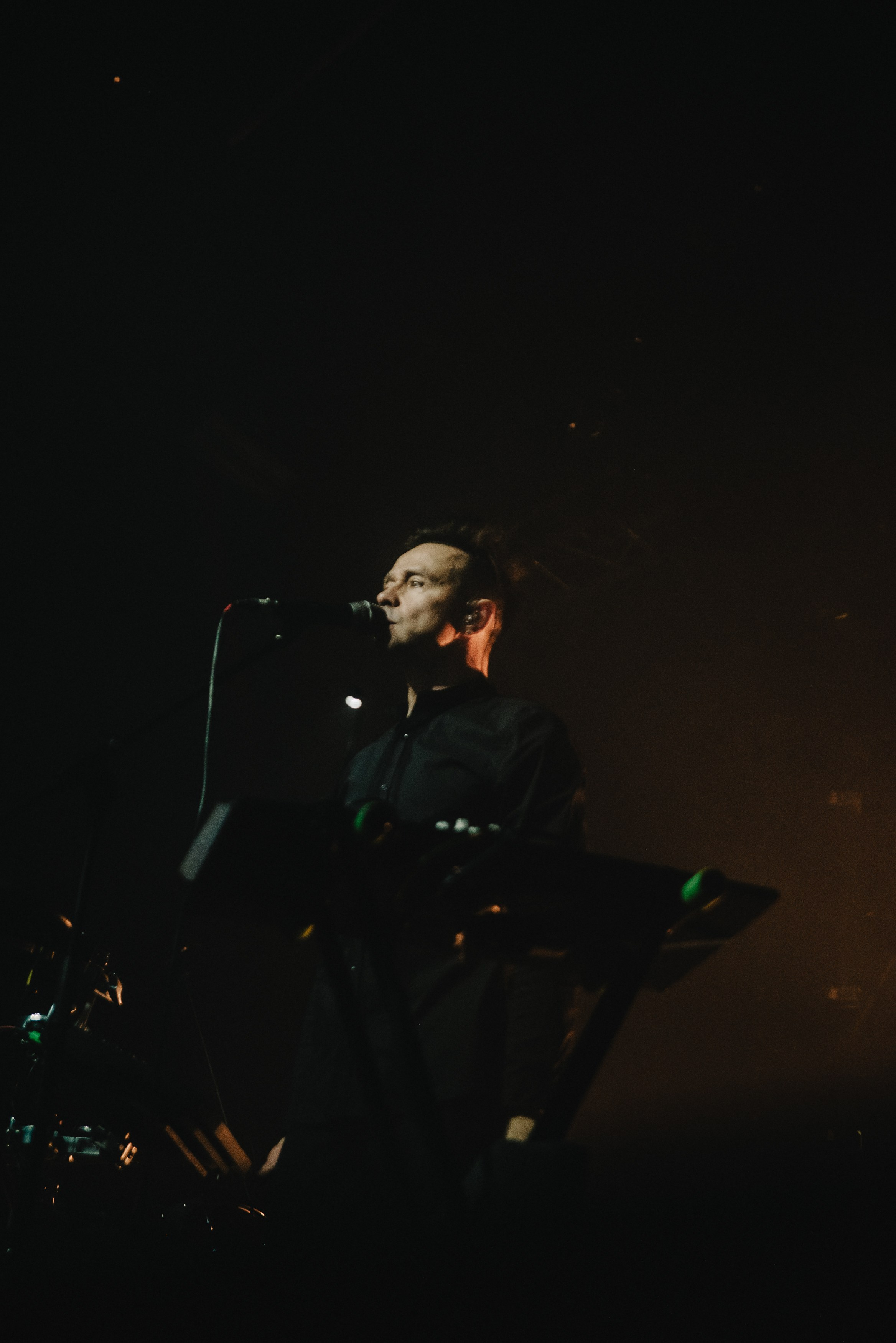 Дельфин | Gaudi. Контент фотограф Илья Урс