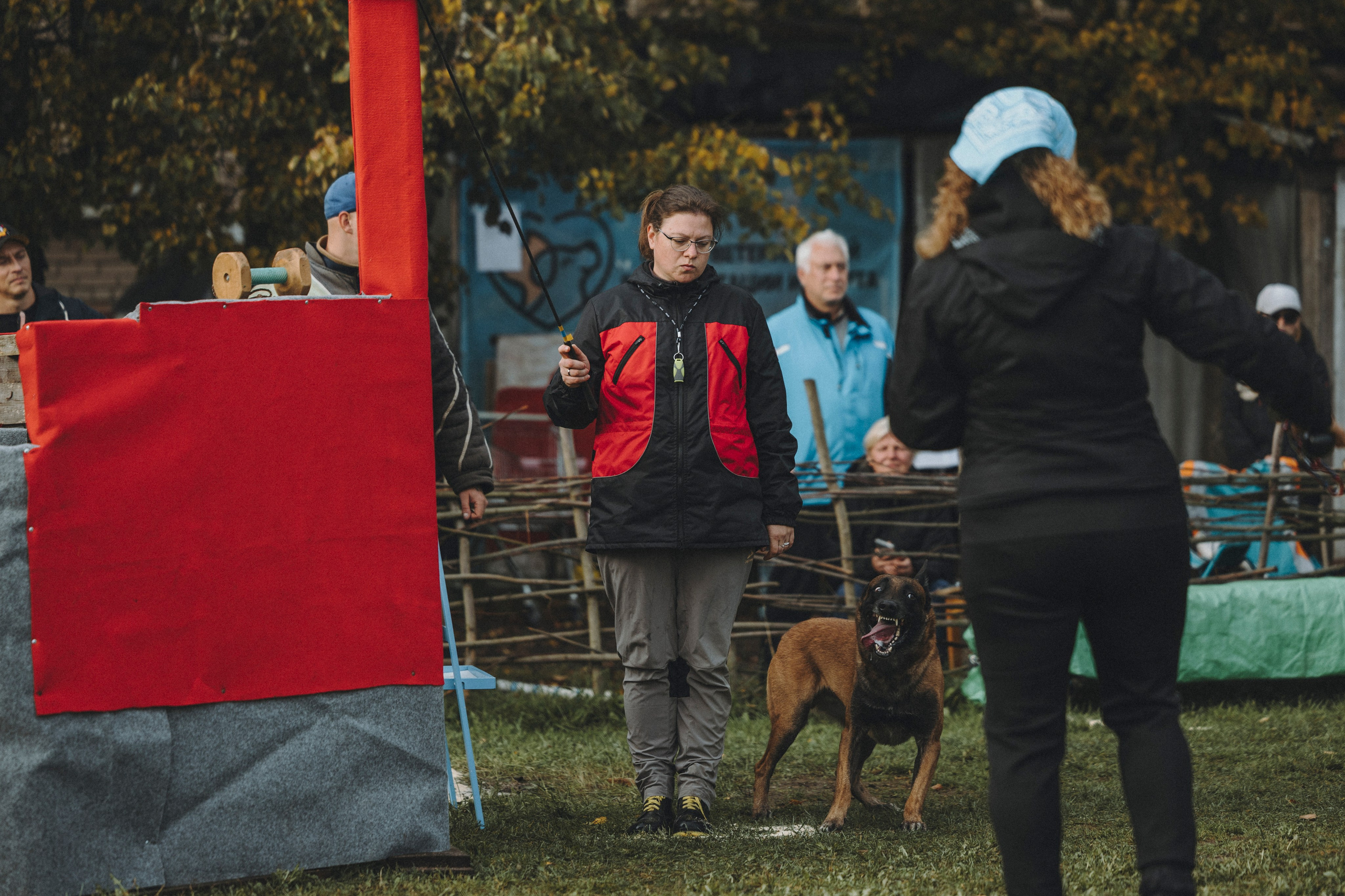 Испытания по мондьорингу г. Пушкин 29.09.2024. Фотограф-анималист Анна Маринич