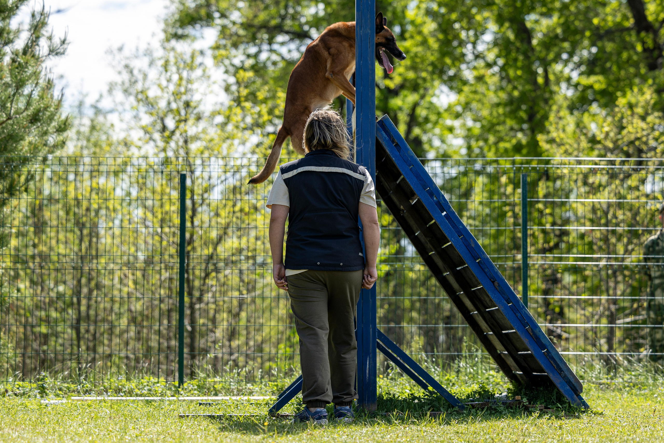 Испытания по мондьорингу в Нижнем Новгороде. Фотограф-анималист Анна Маринич