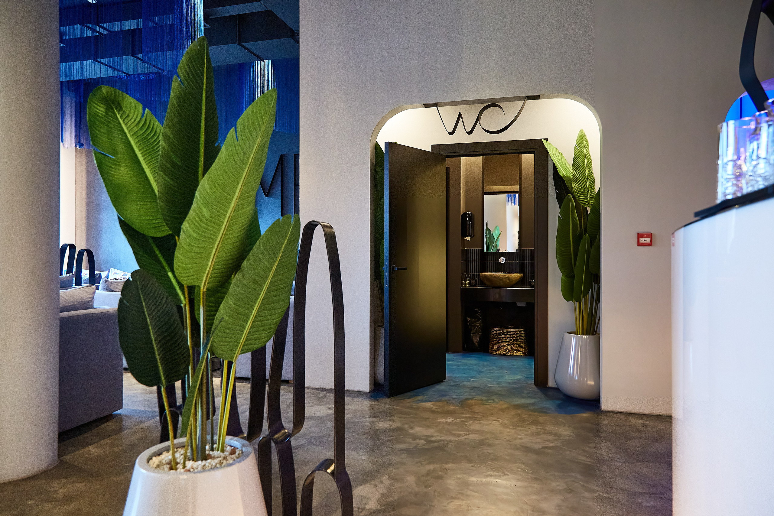 Ресторан Frime wine lounge. Фотограф Анастасия Леонтьева Санкт-Петербург