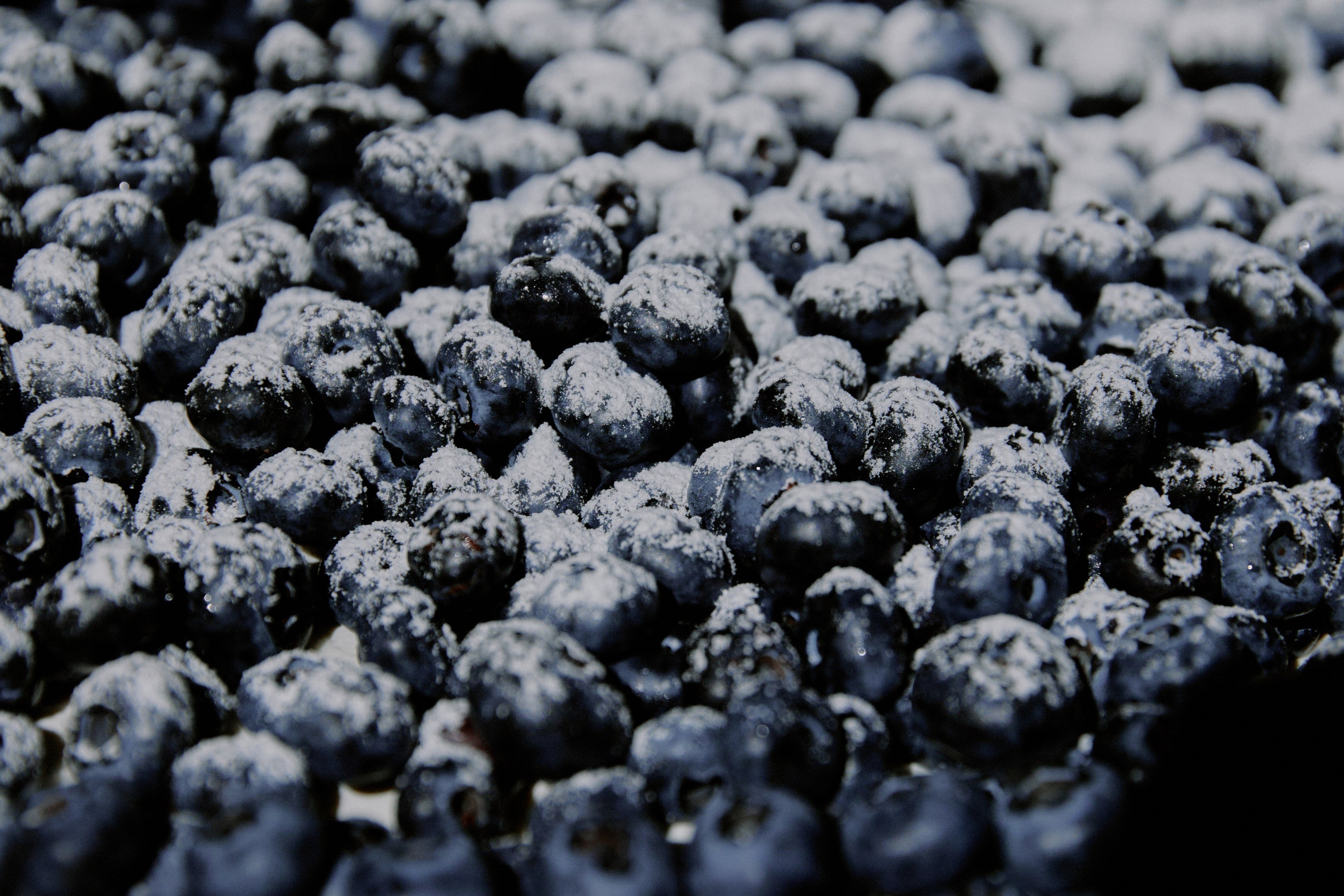 Мамма Мia!. Фотограф Елена Краснопевцева