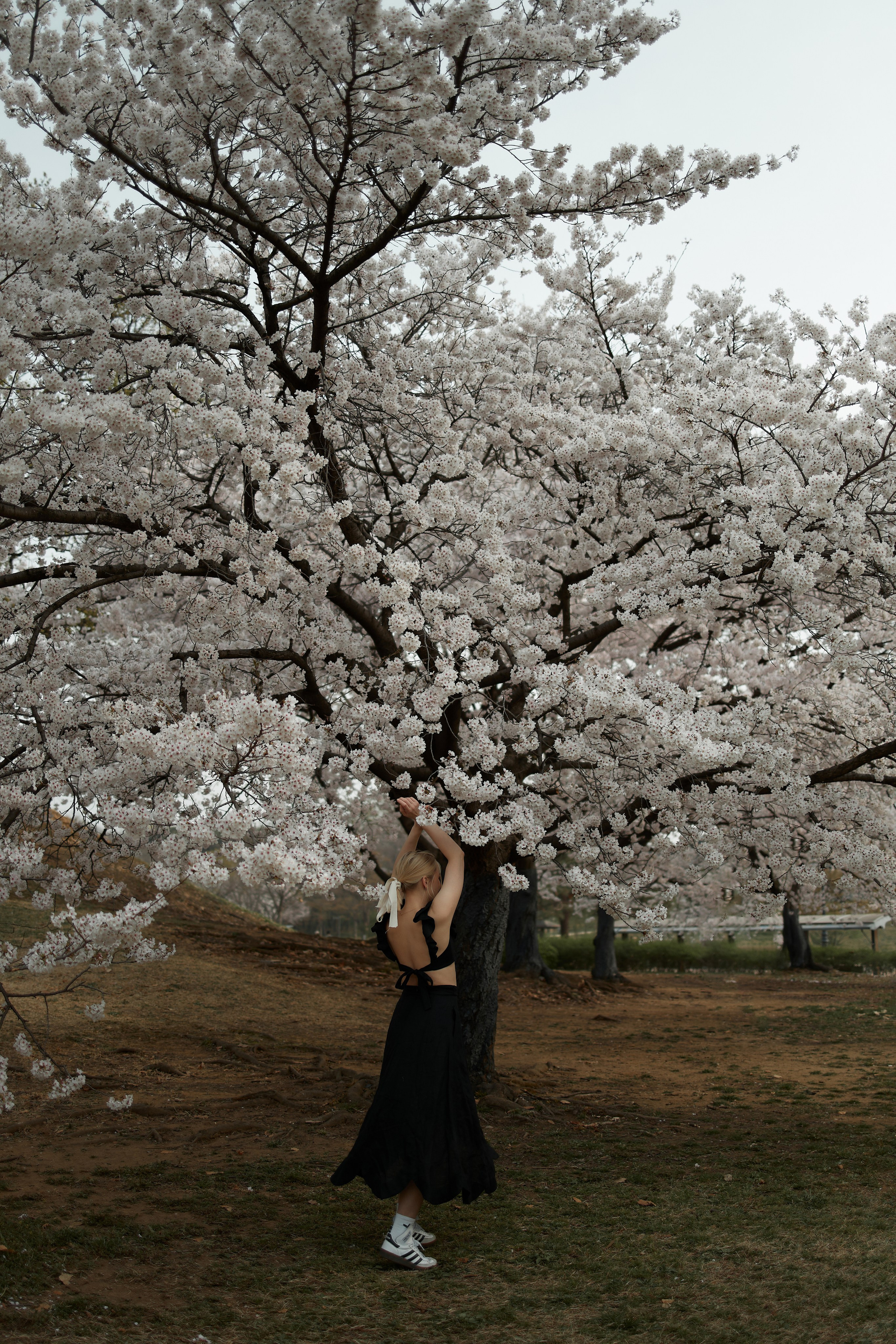 Таня | Сеул. Katerina Simina — worldwide photographer | Europe