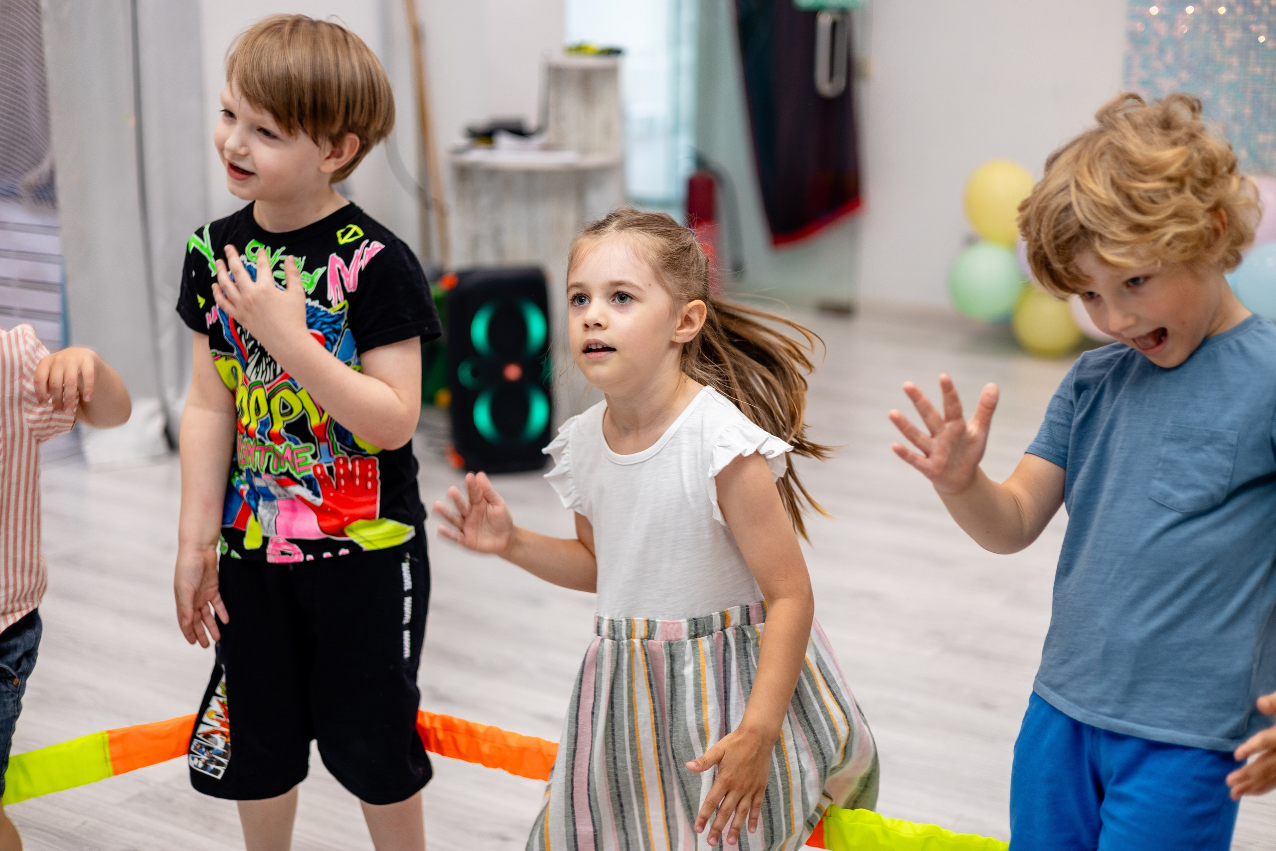 Авокадо. Фотограф Елена Медок Калининград