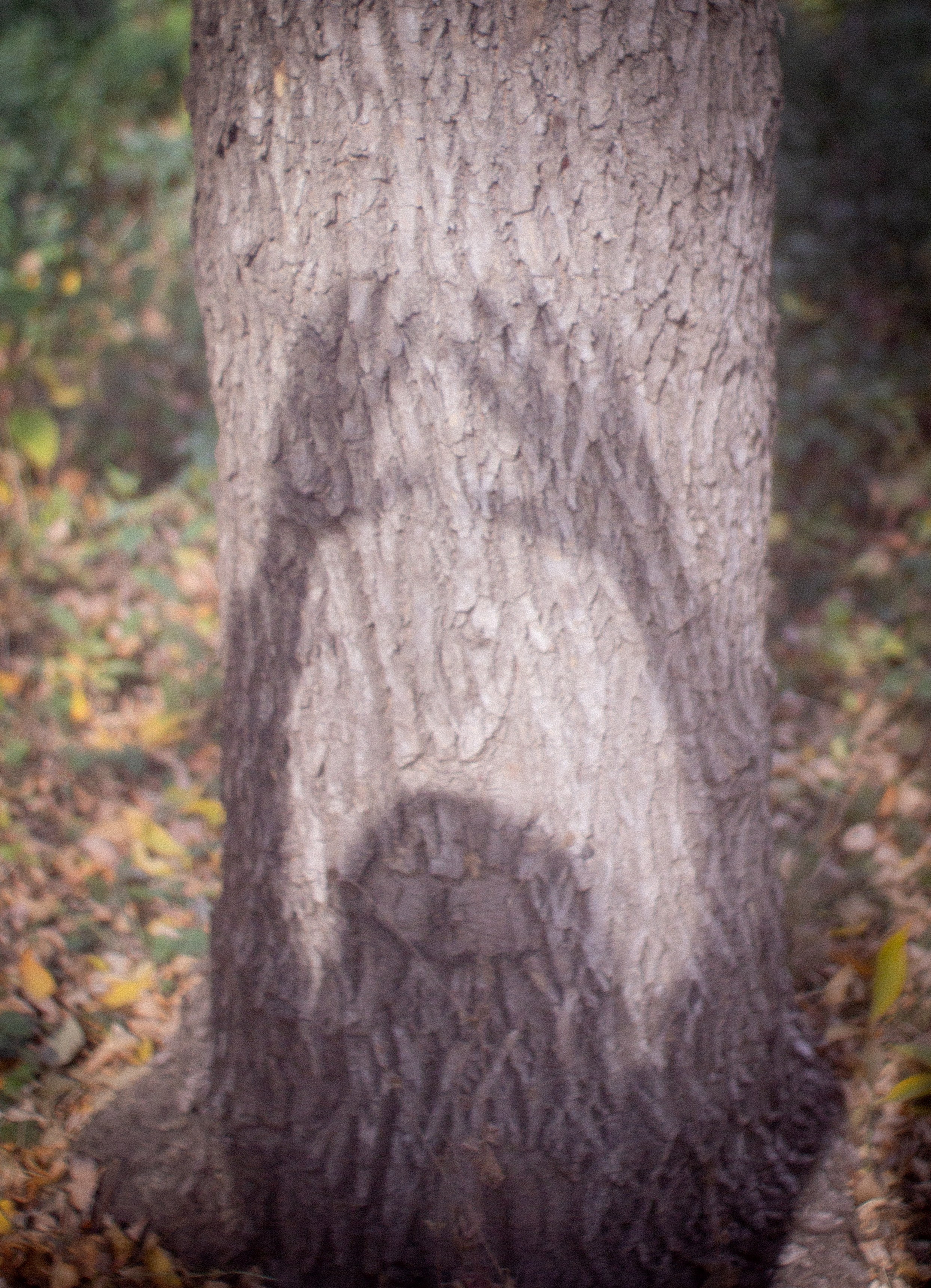 История твоего двора. • Фотограф Александра Светозар Алчевск •