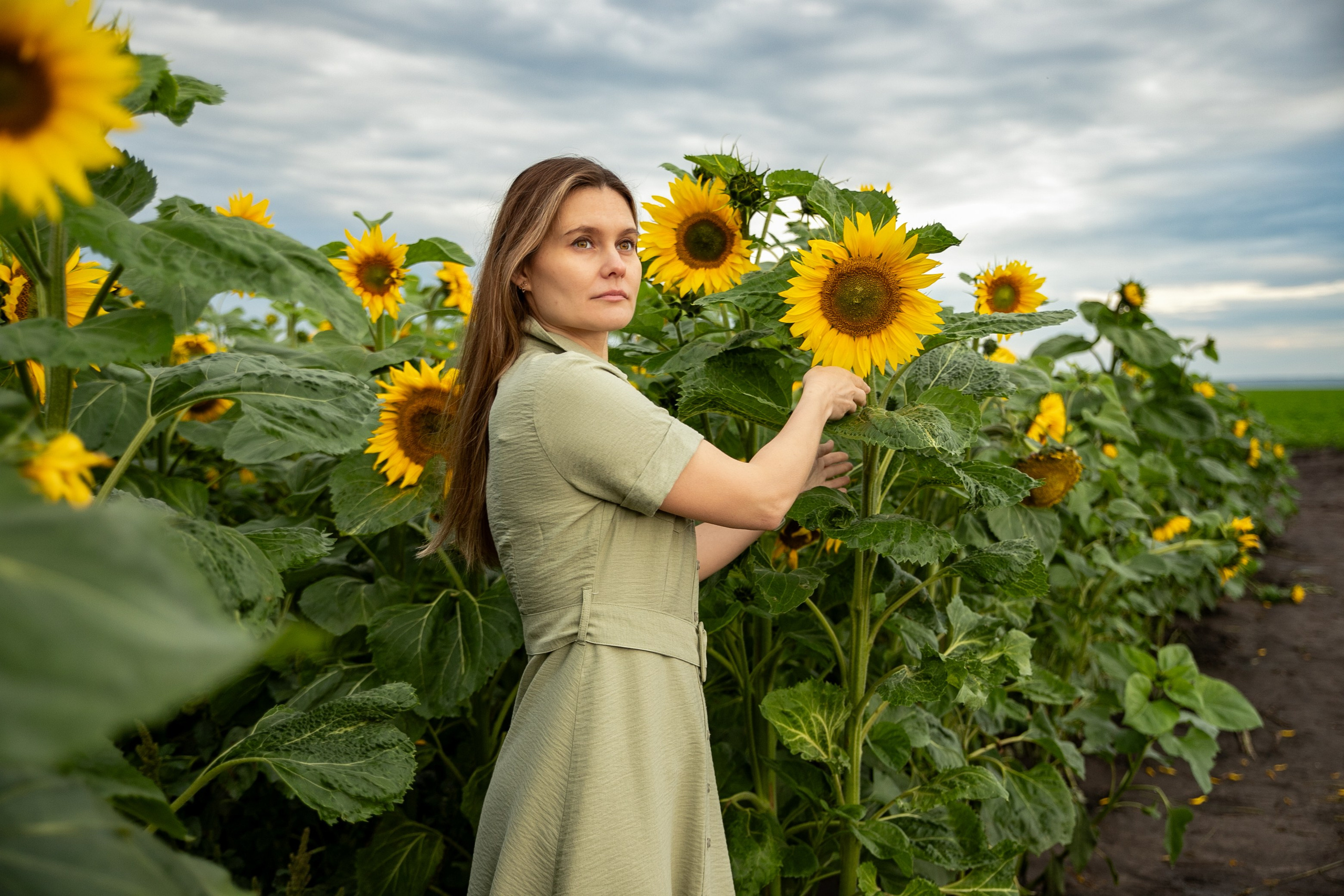 Фотосет в подсолнухах. Нина. Фотограф Лапочкина Татьяна