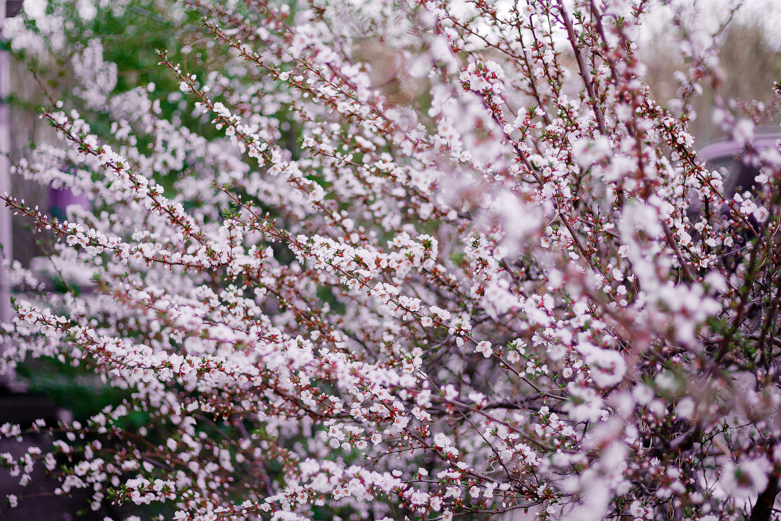 Контент-фотограф в Нижнем Новгороде Антошина Ольга