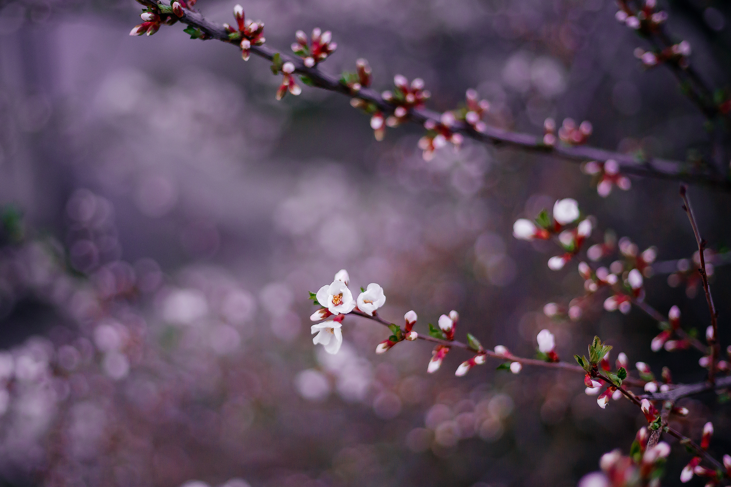 Контент-фотограф в Нижнем Новгороде Антошина Ольга