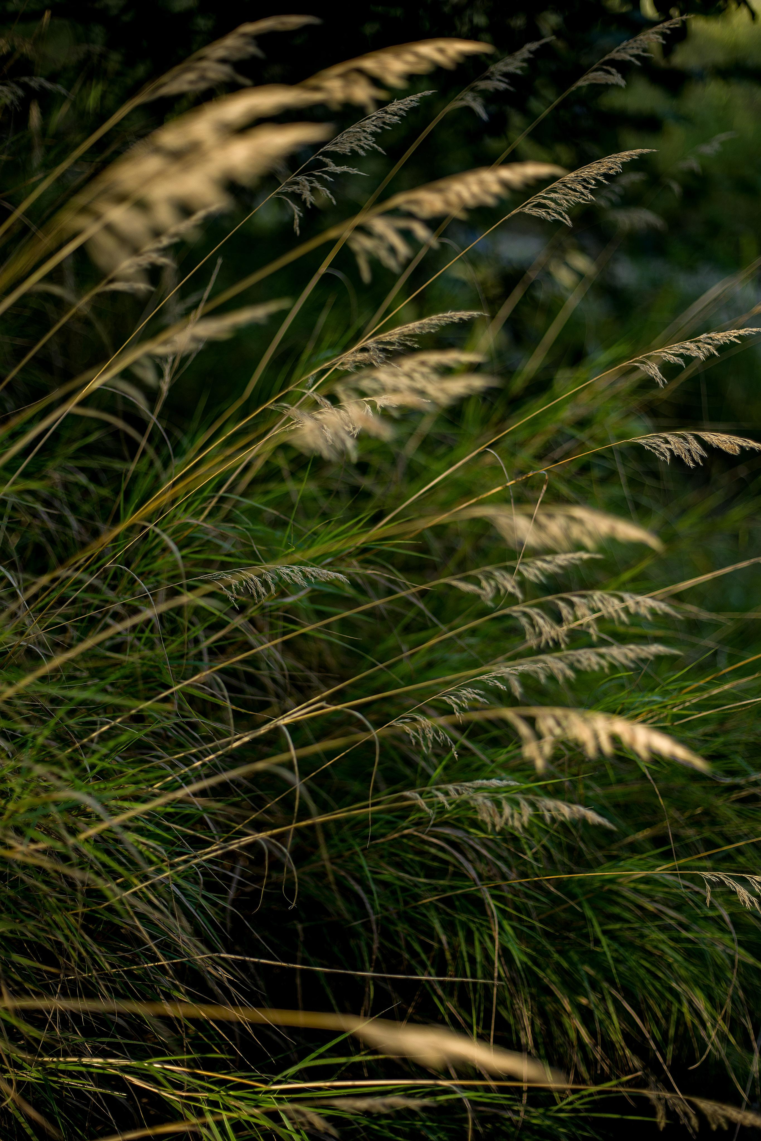 Контент-фотограф в Нижнем Новгороде Антошина Ольга