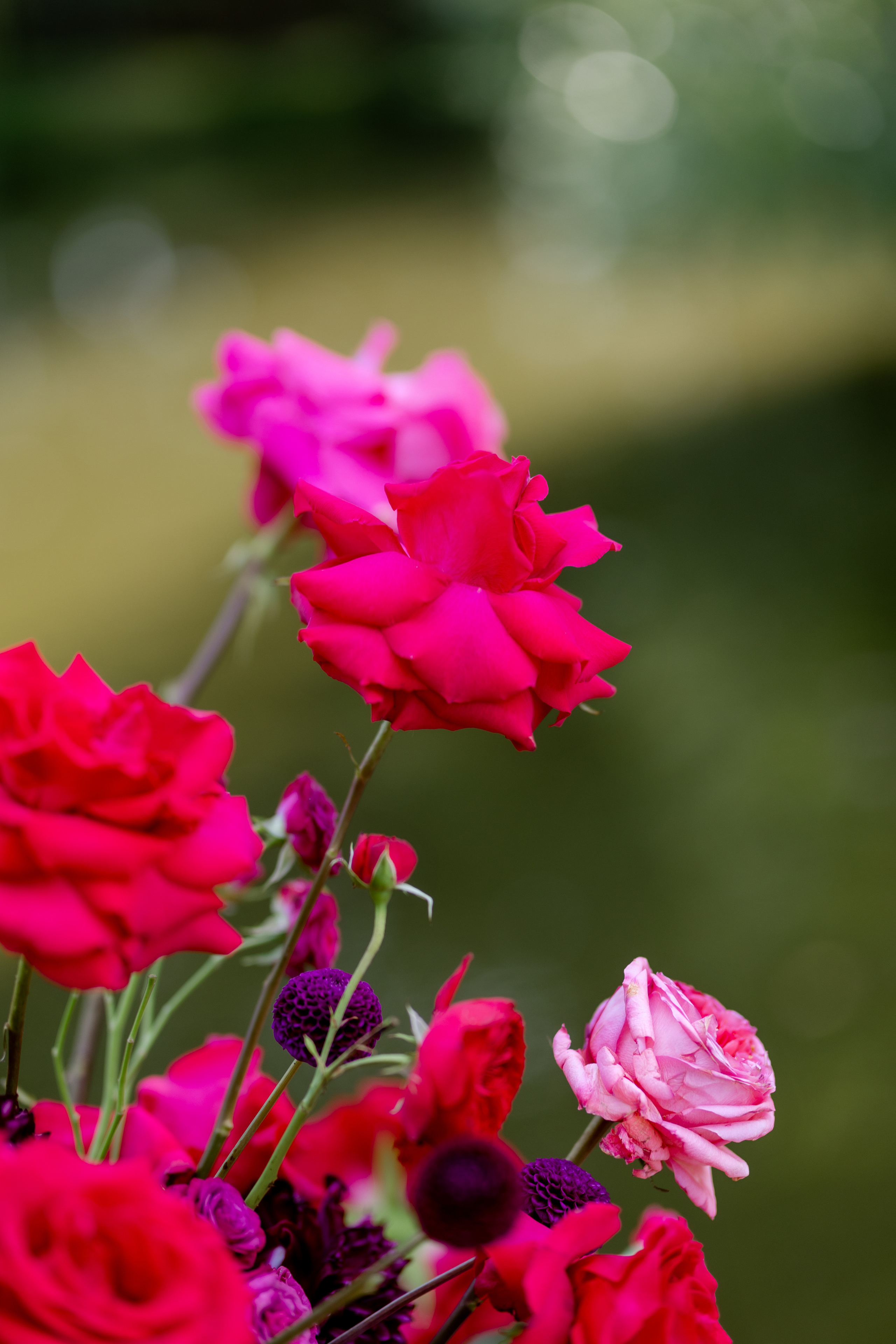 Василий & Дарья. Организатор Дюбайло Анастасия. Главная