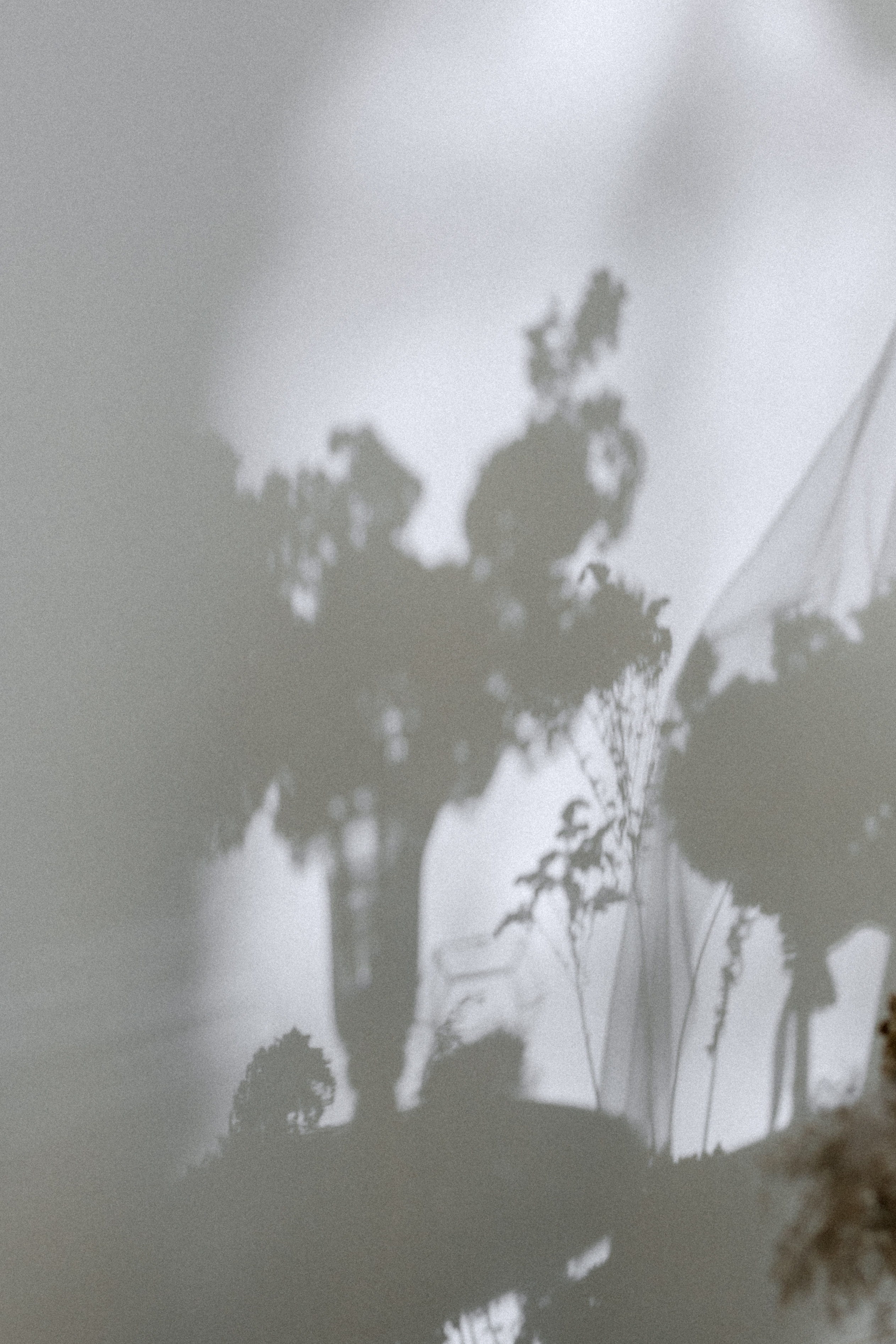 Илья & Ангелина. Организатор Соболькова Юлия. Главная