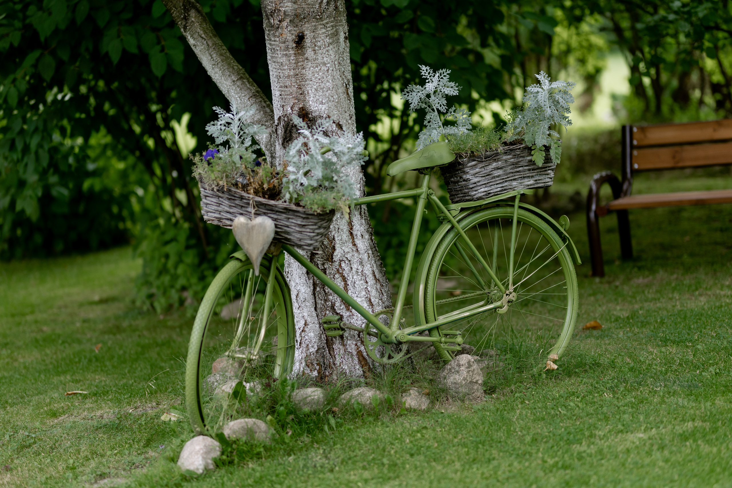 Василий & Дарья. Организатор Дюбайло Анастасия. Главная