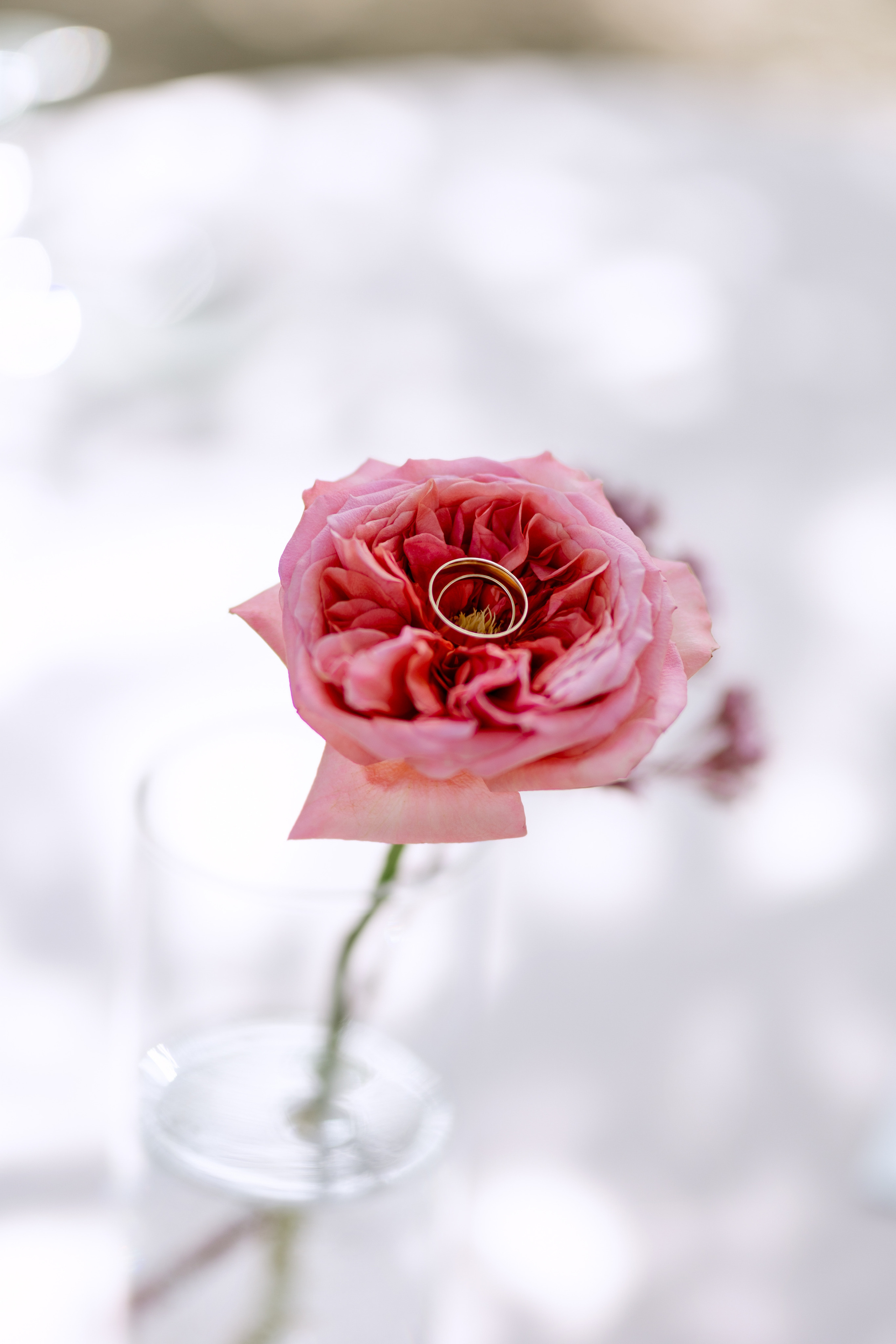 Василий & Дарья. Организатор Дюбайло Анастасия. Главная