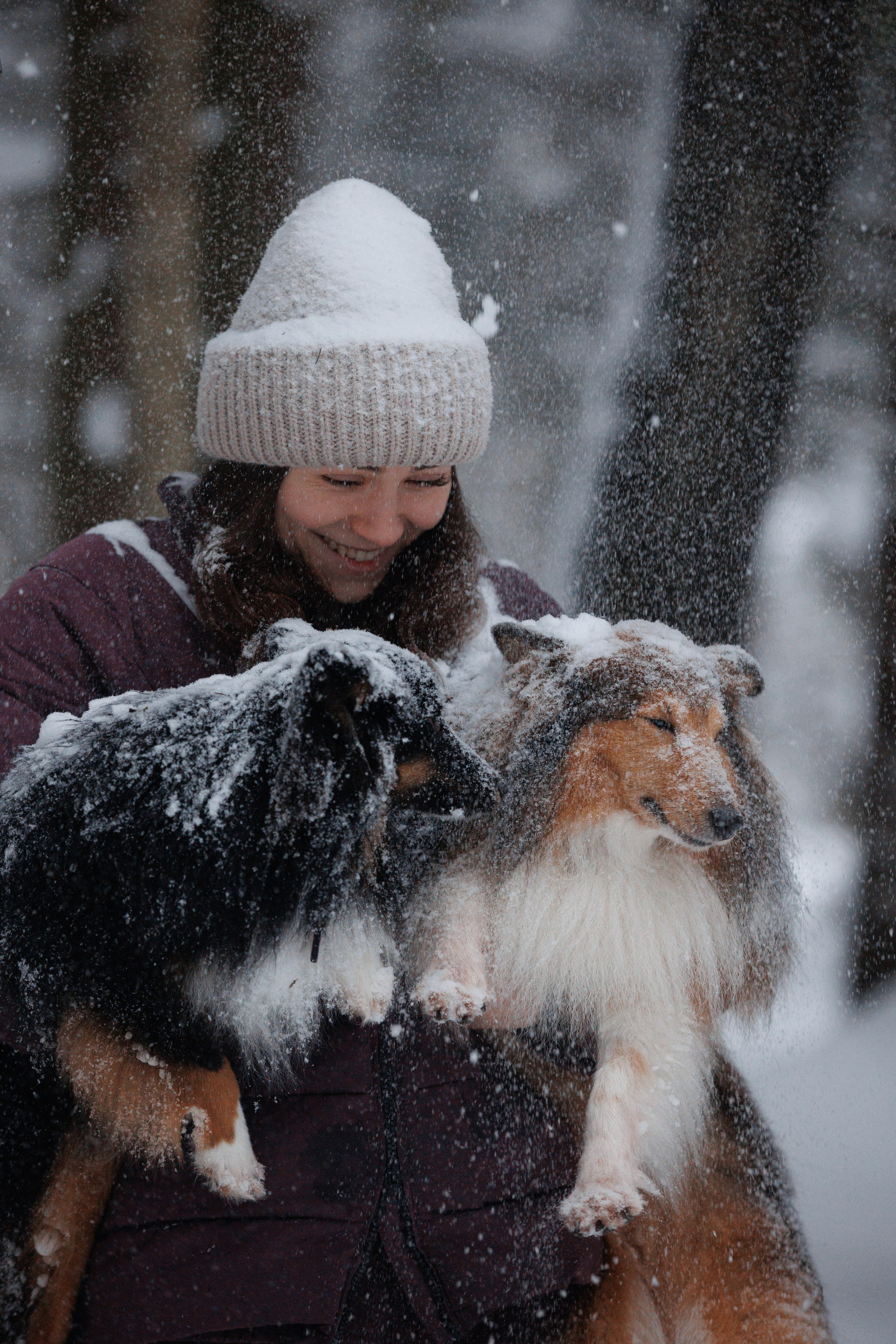 Даша и компания. Фотограф анималист Кристина Карпова, Москва
