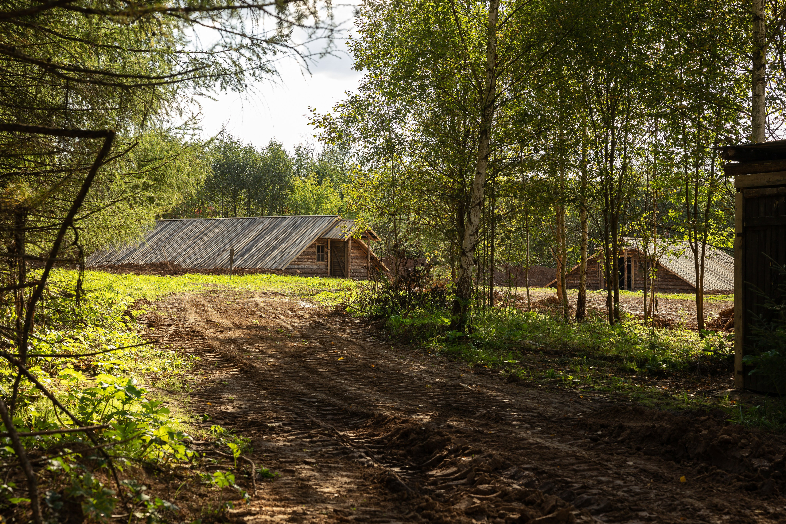 Кинопарк «Москино». Лисенкова Алиса — Фотограф, видеомейкер. Москва