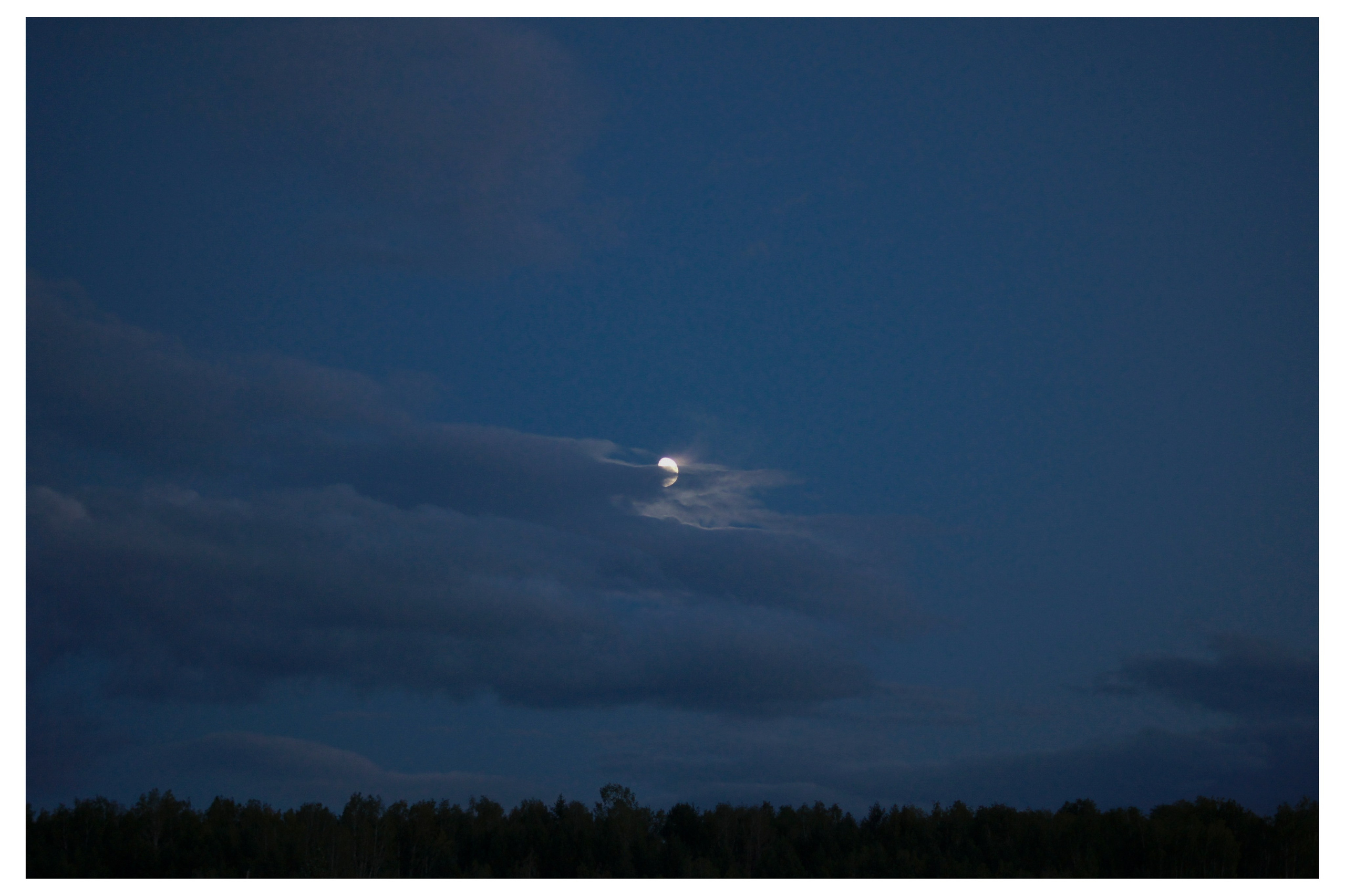 ДЕРЕВНЯ. Фотограф Манакова Ольга