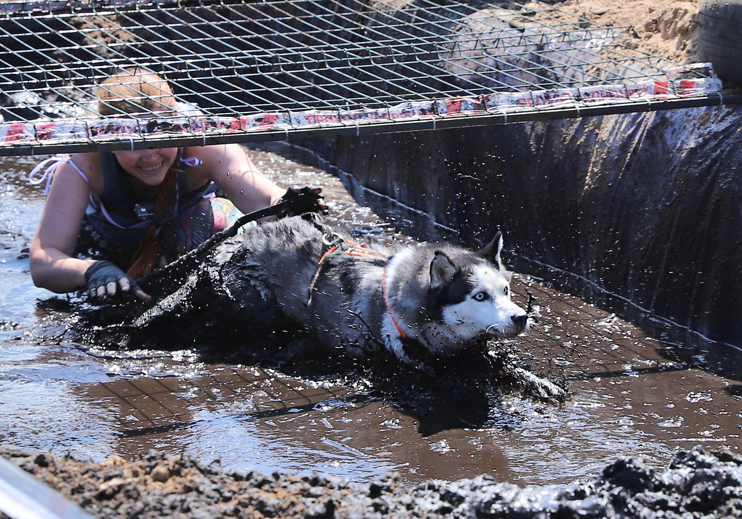 Хвостатый драйв. Семейный и детский фотограф в Москве и МО Елена Москвичева