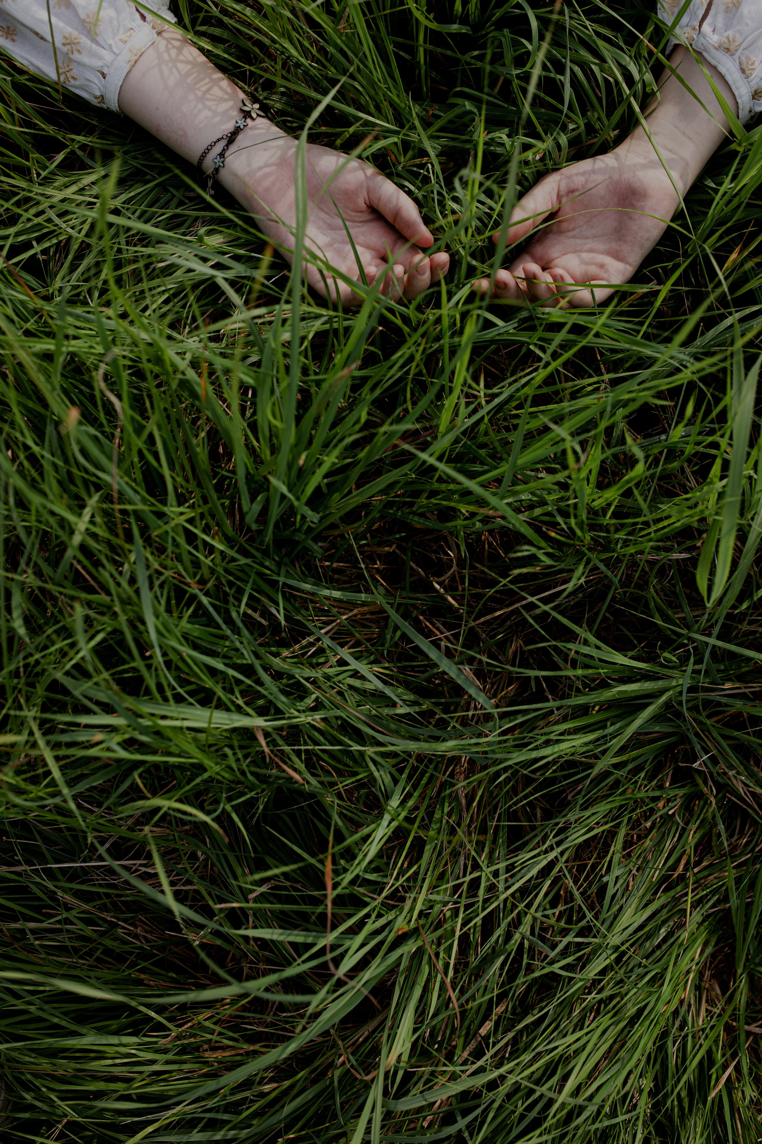 Дерево после грозы. Портретный фотограф Александра Птица. Снимаю истории о вас