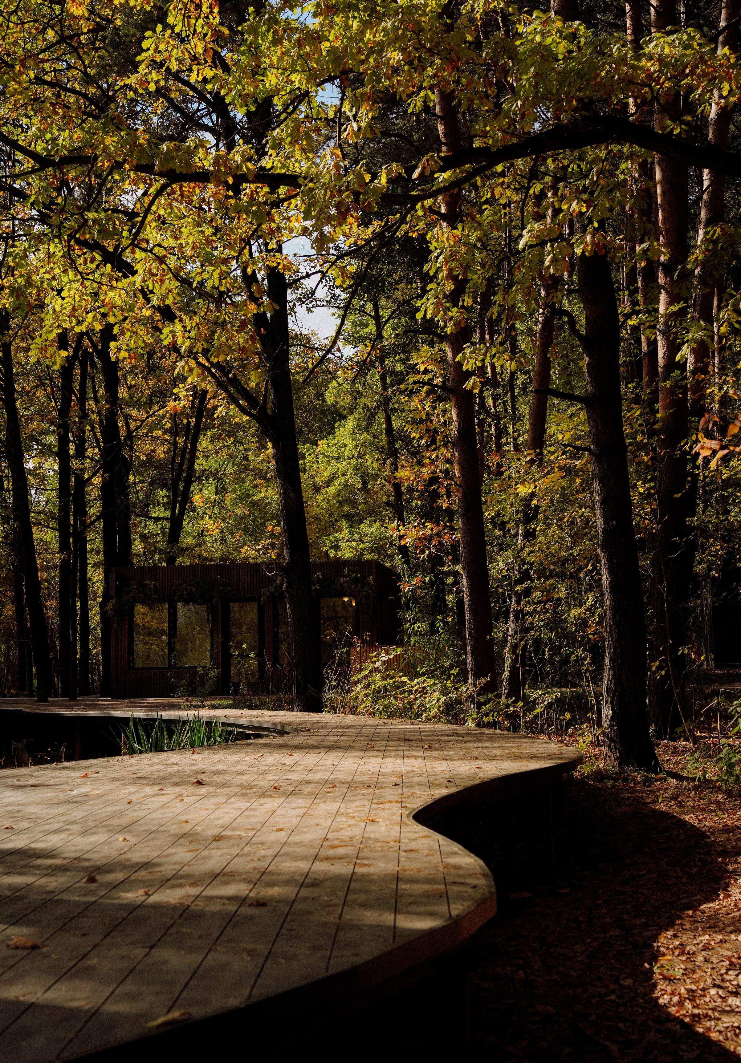 Осень 2025. Фотограф из Москвы — DASHA NOVA | Авторская фотография в разных жанрах