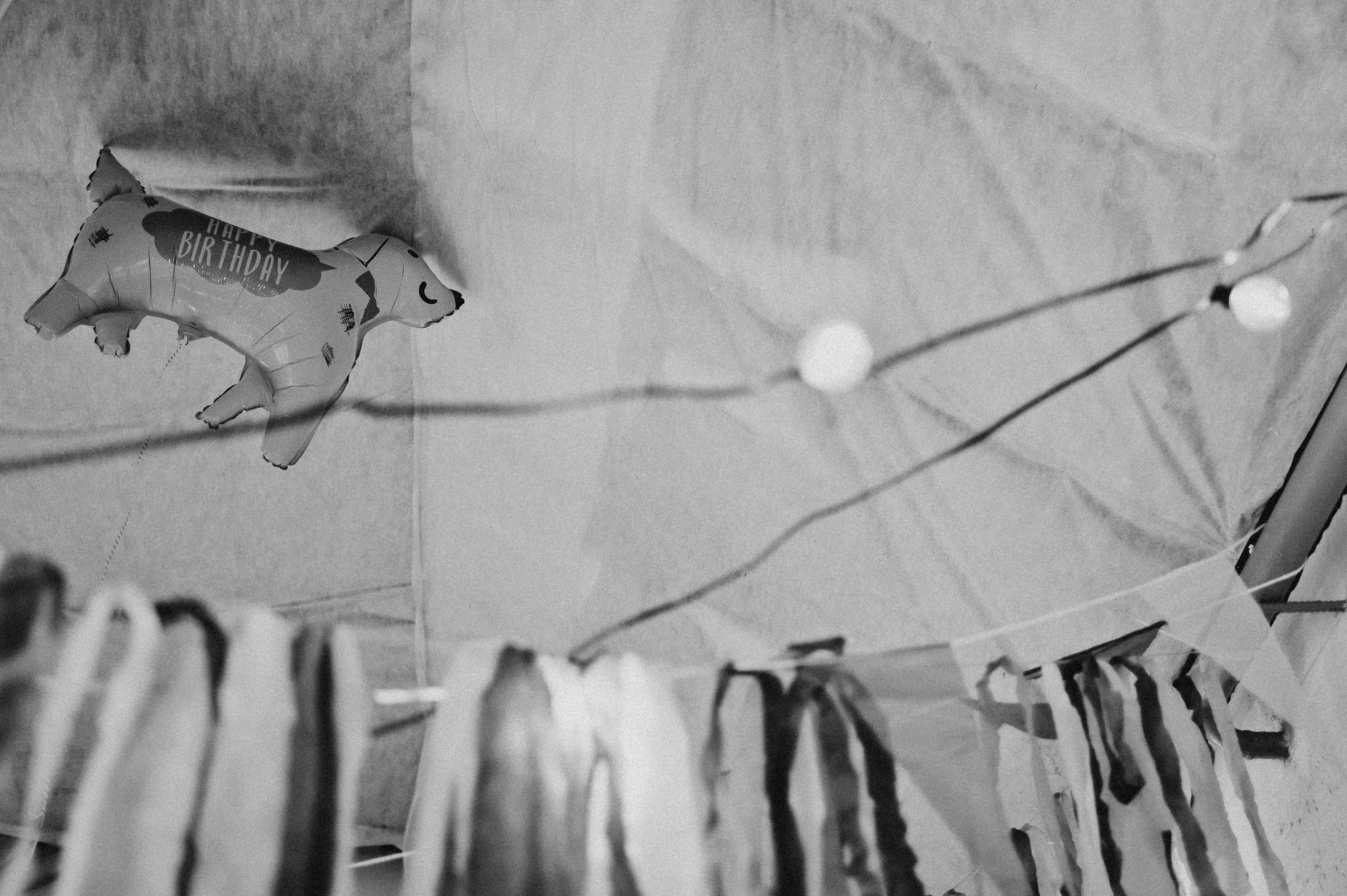 Детские праздники. Фотограф Тверь