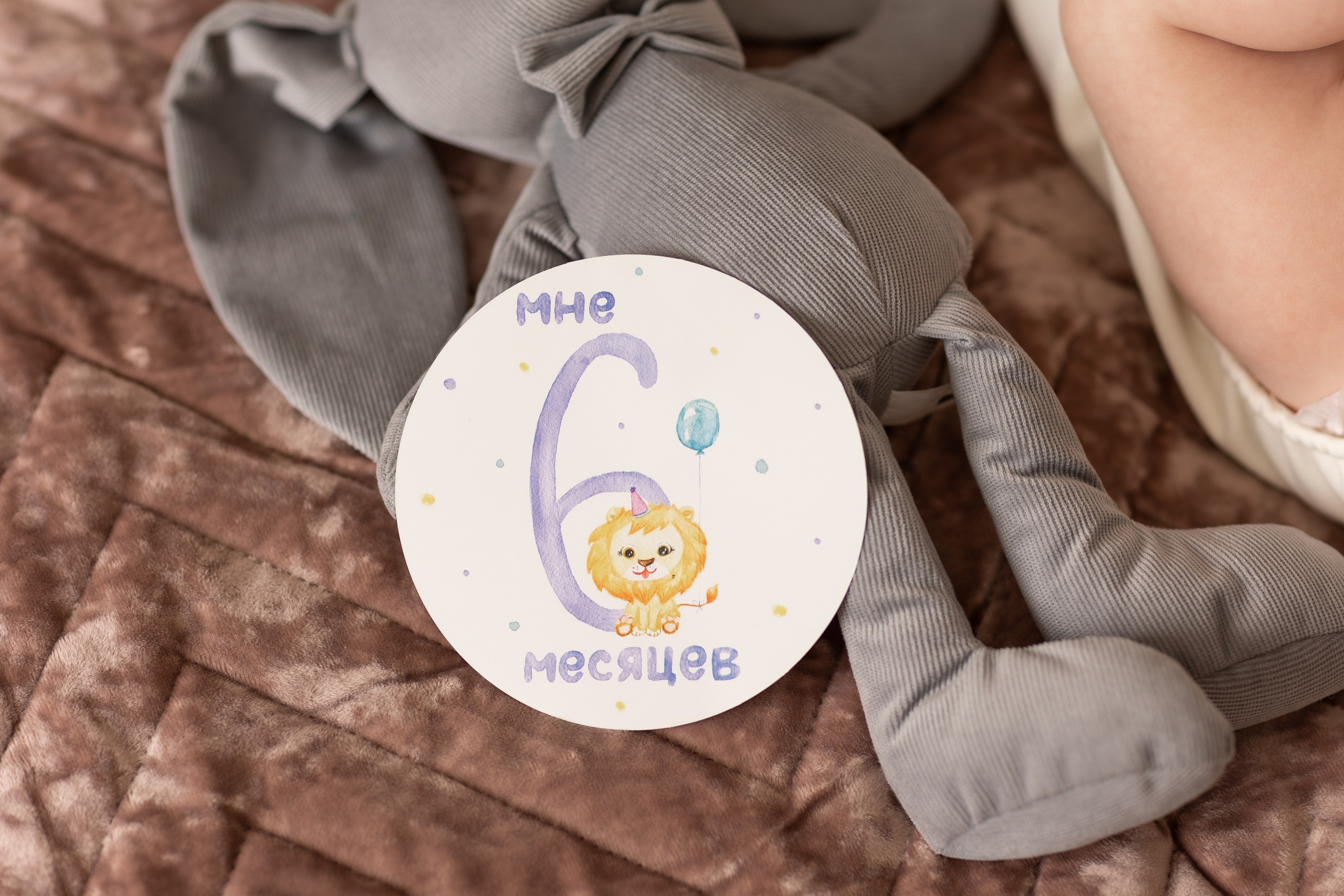 Домашняя семейная история. Портретный и семейный фотограф в Краснодаре Оксана Сараева