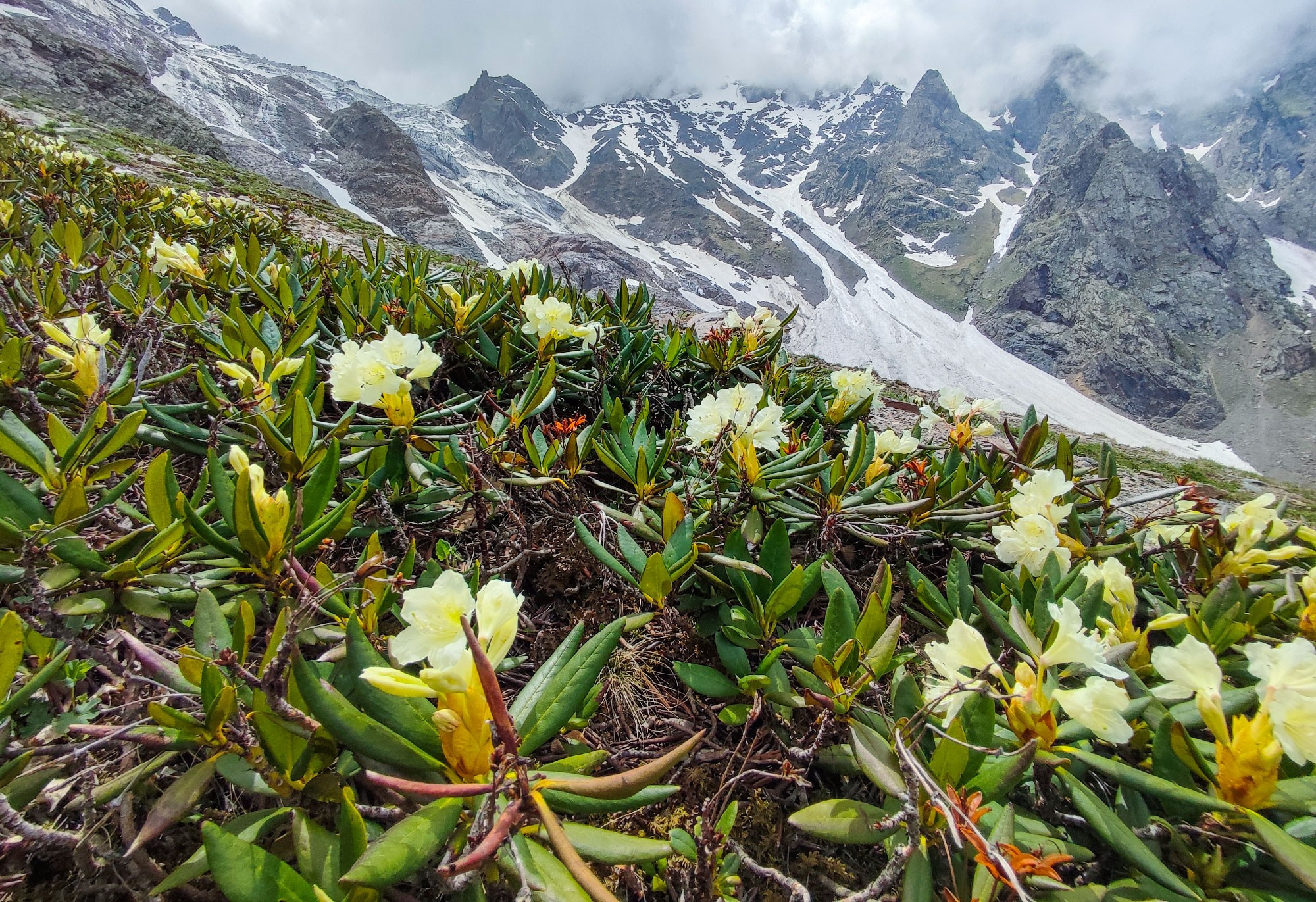 Свадебный фотограф в Геленджике