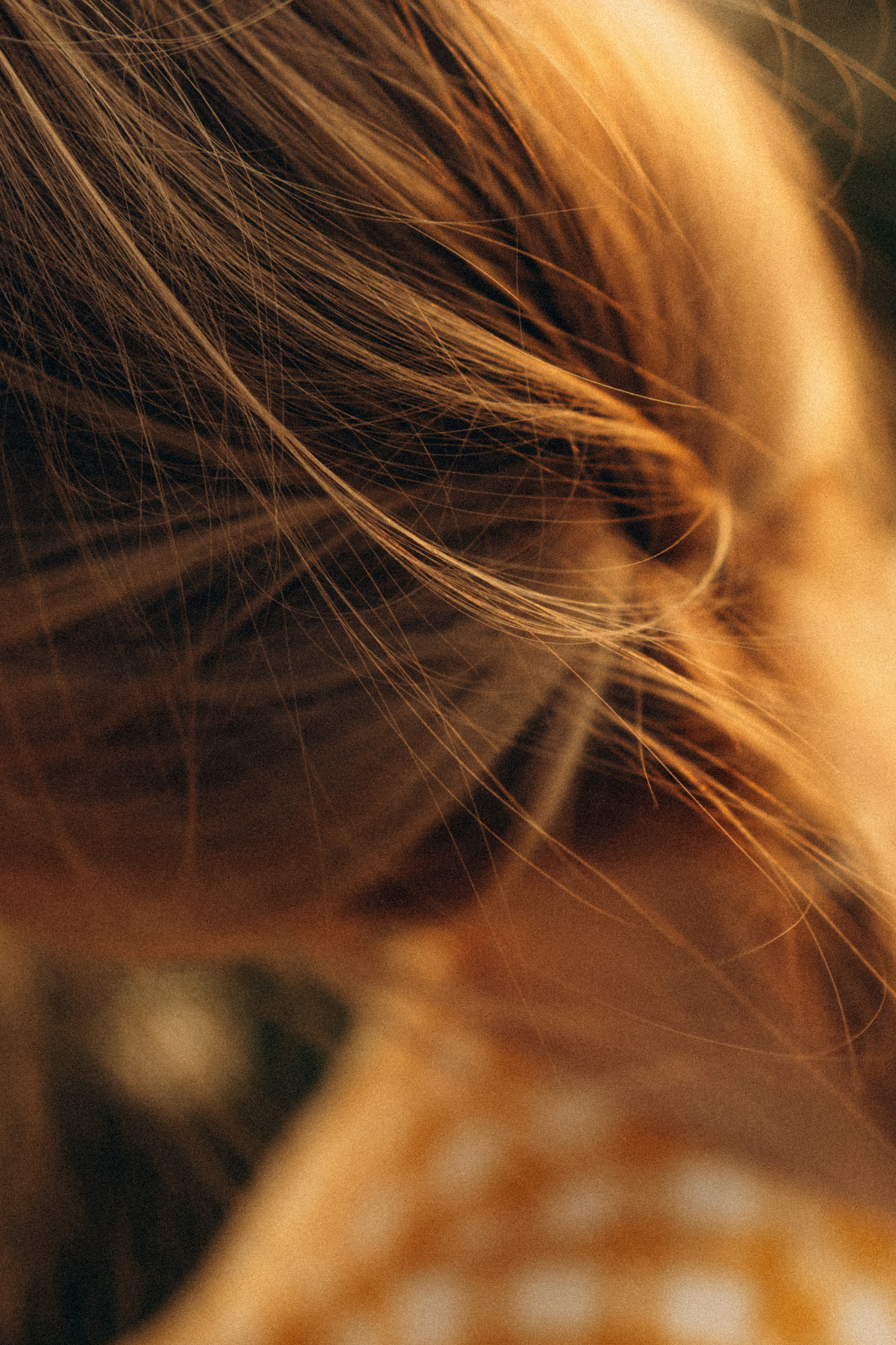 В ожидании. Семейный фотограф в Мурманске Екатерина Юшкова