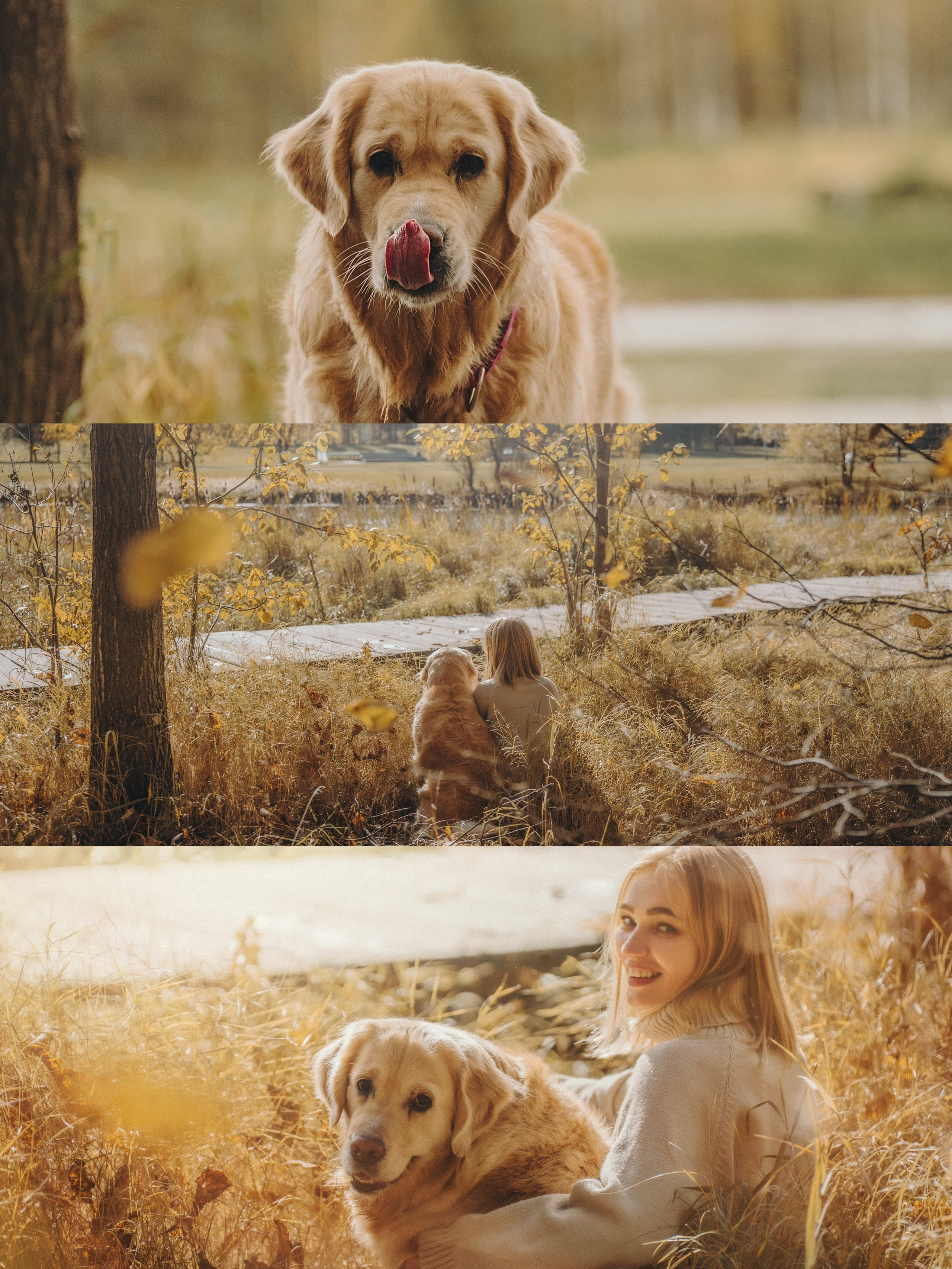Анастасия и Айза. Фотограф анималист в Москве и Санкт-Петербурге Свиридова Анна