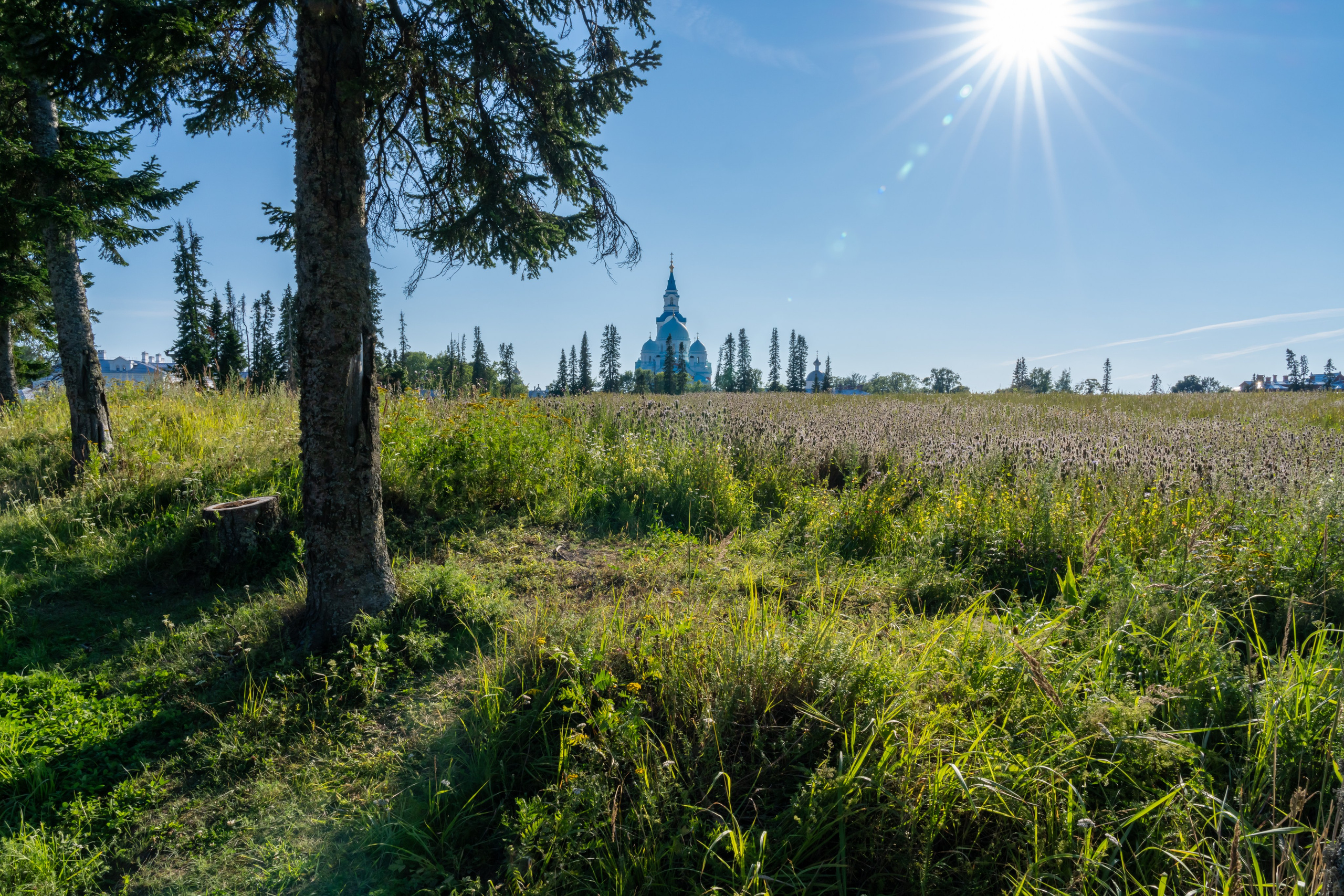 Карельская природа на острове Валаам