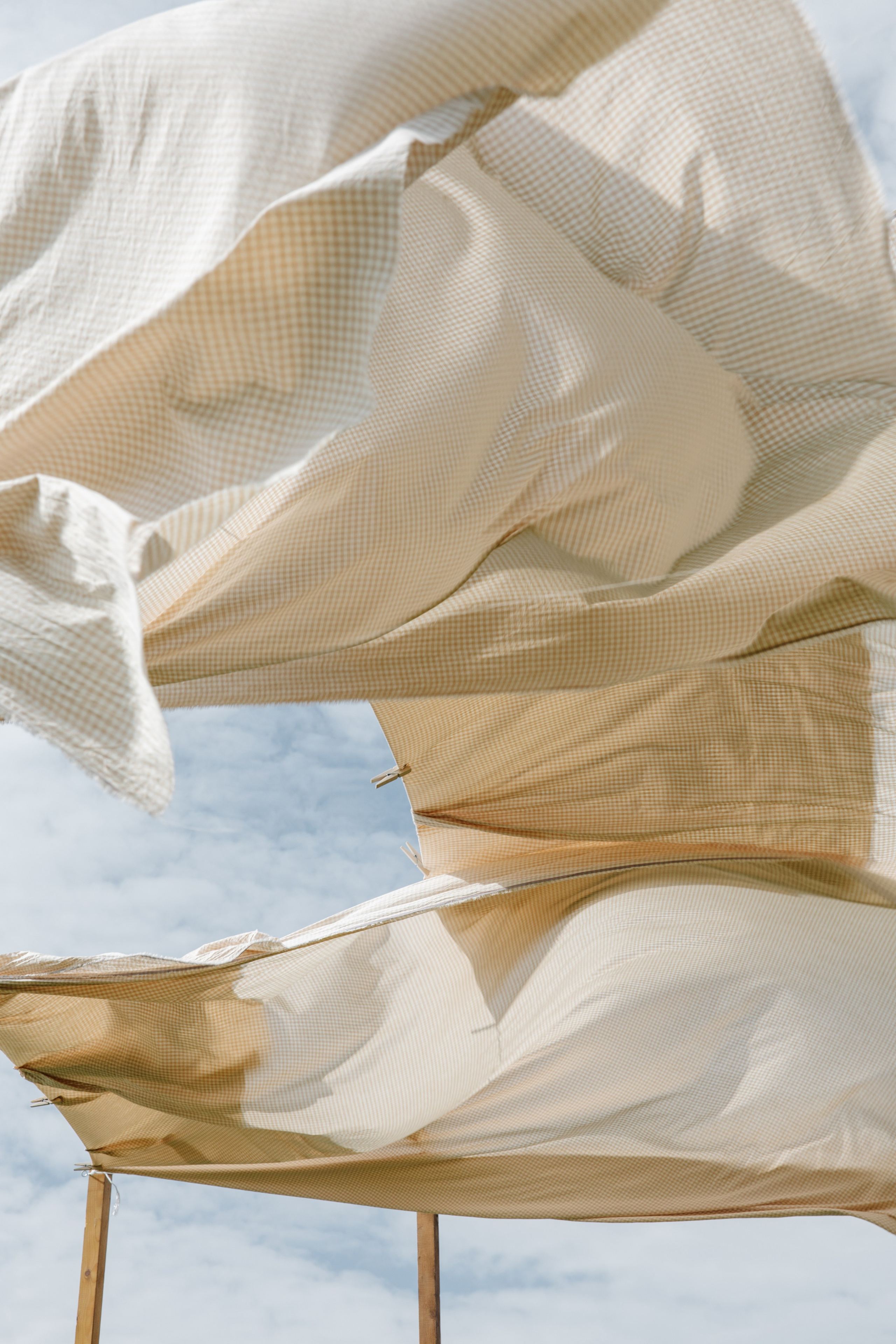 ГЕНДЕР ПАТИ. Фотограф в Красноярске