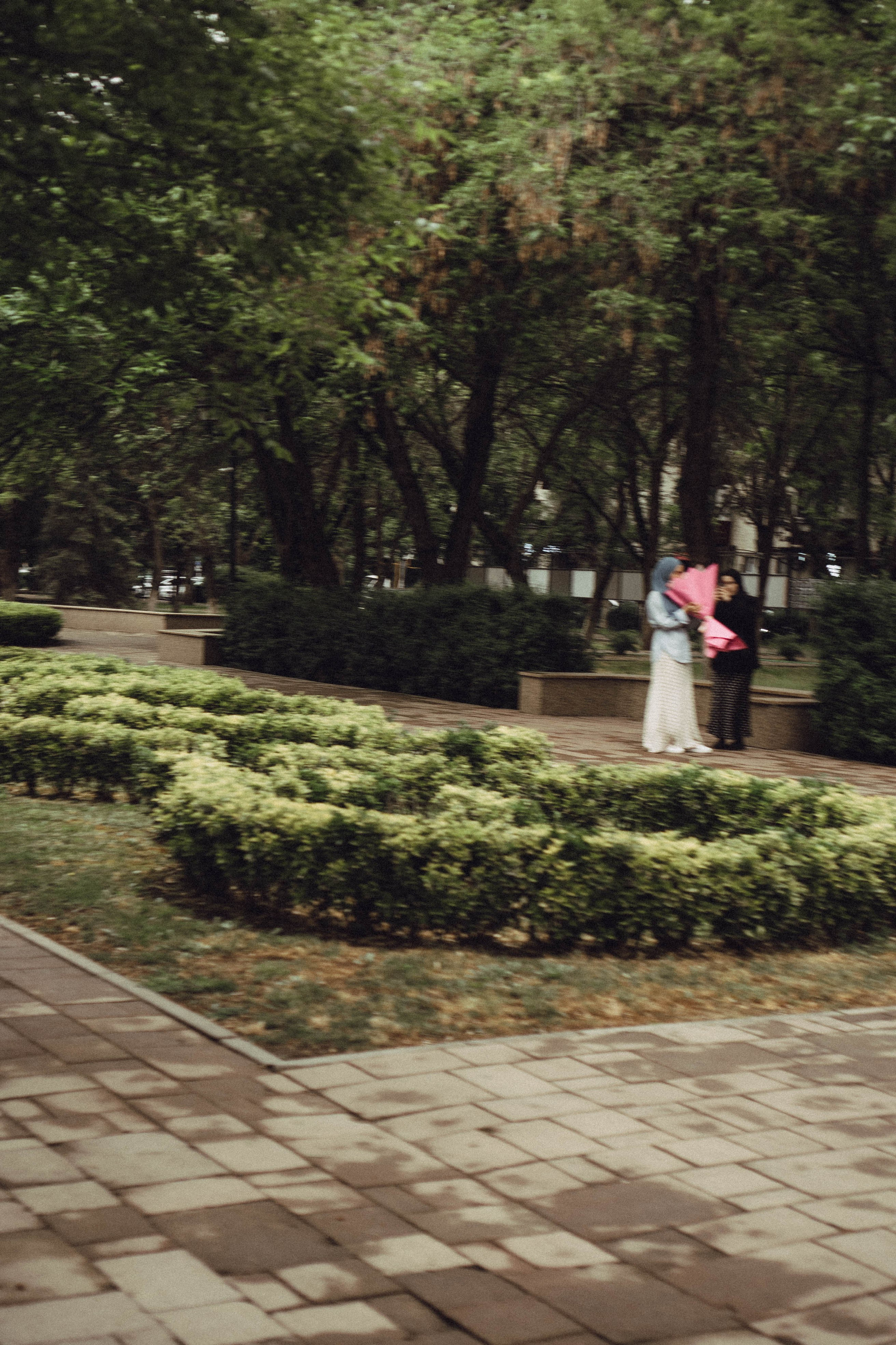 Кавказ. Профессиональный фотограф, Санкт-Петербург — Виктория Богомолова