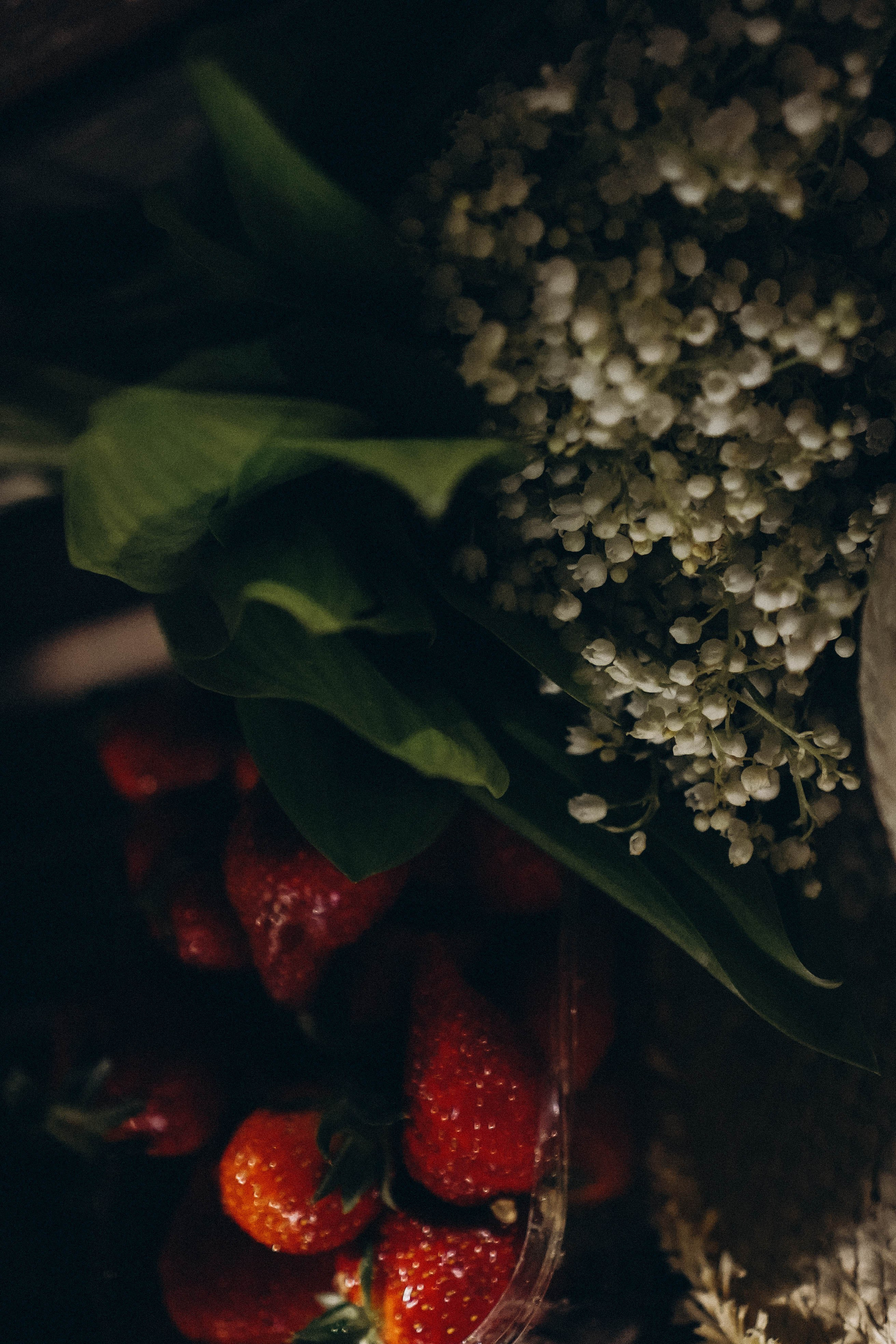 Вечернее кафе. Профессиональный фотограф, Санкт-Петербург — Виктория Богомолова