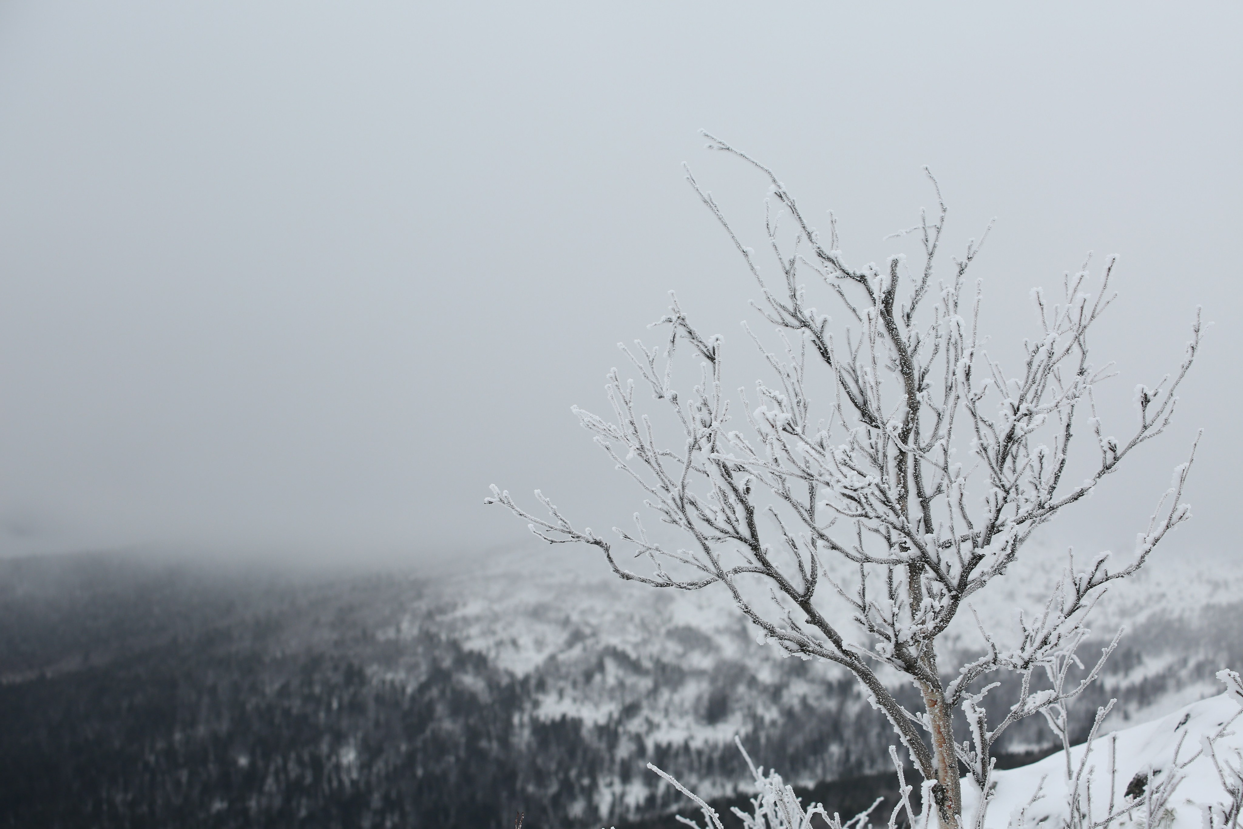 Северный Урал. Авторские туры с профессиональным фотографом