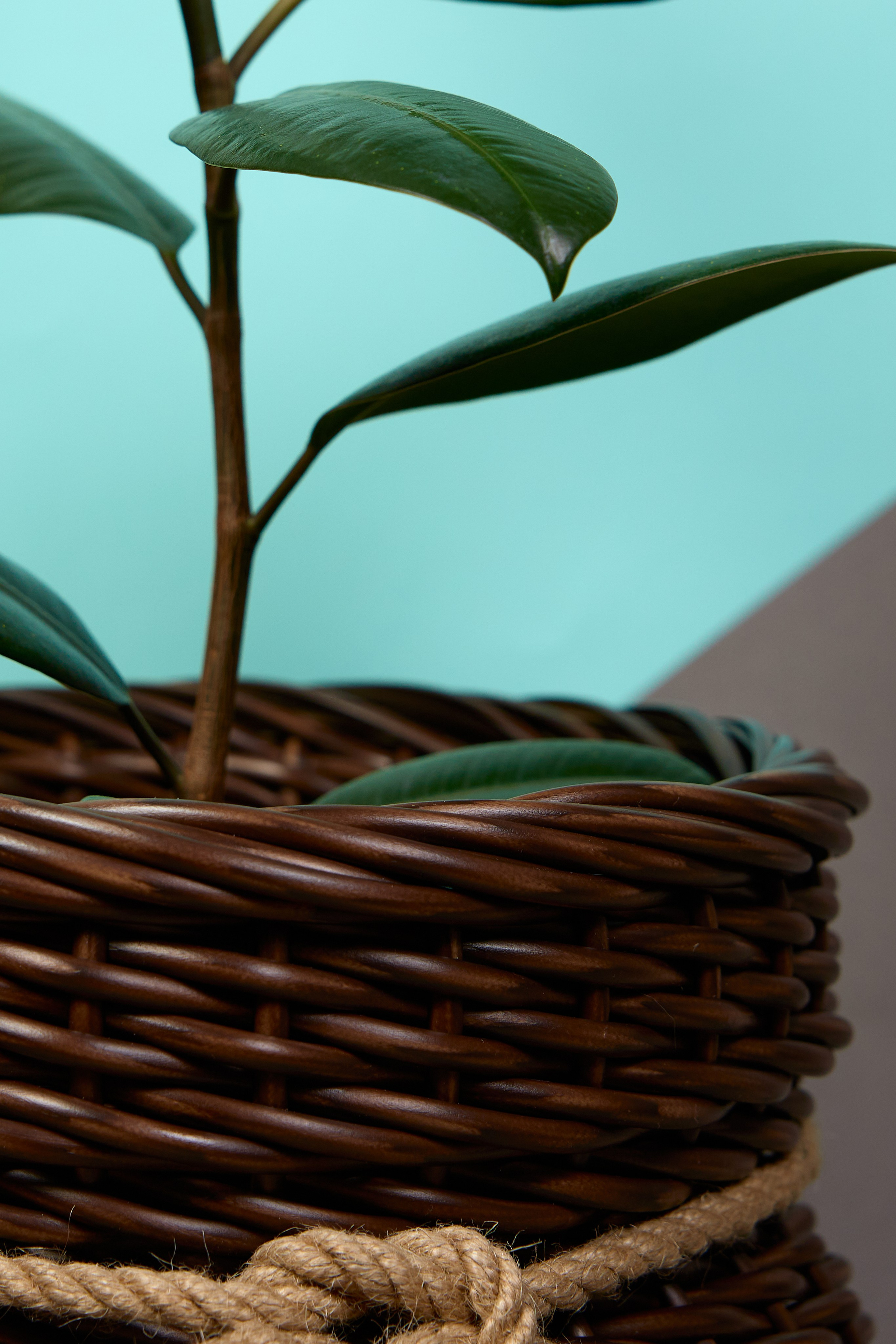 Фотосъёмка для маркетплейсов. Предметный и репортажный фотограф Алексей Кротов